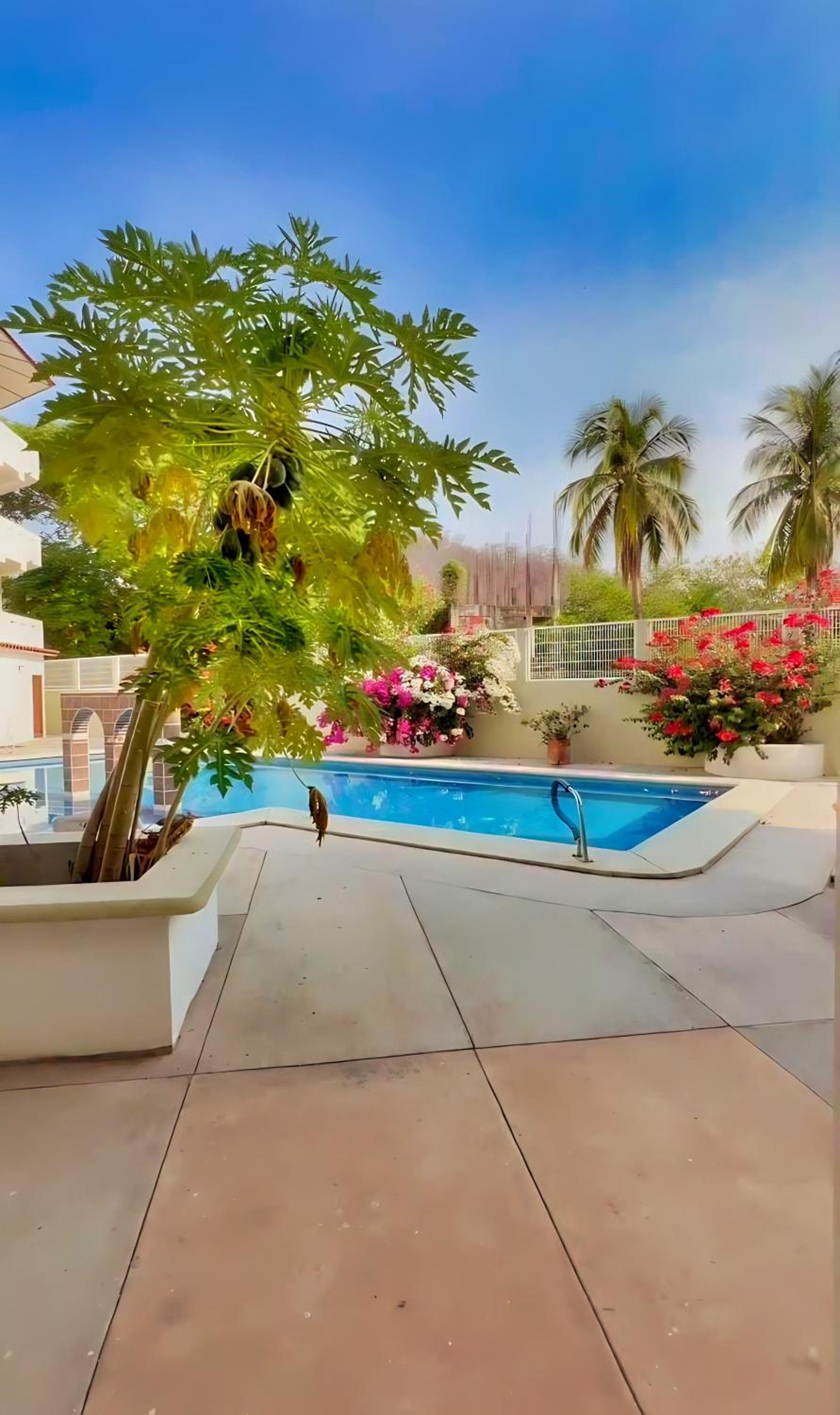 Condominio Alegre Amanecer view 3
