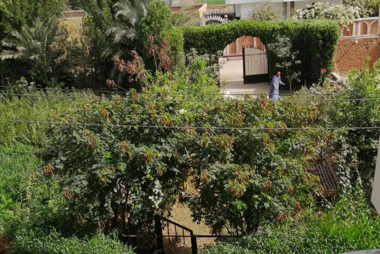Rose home