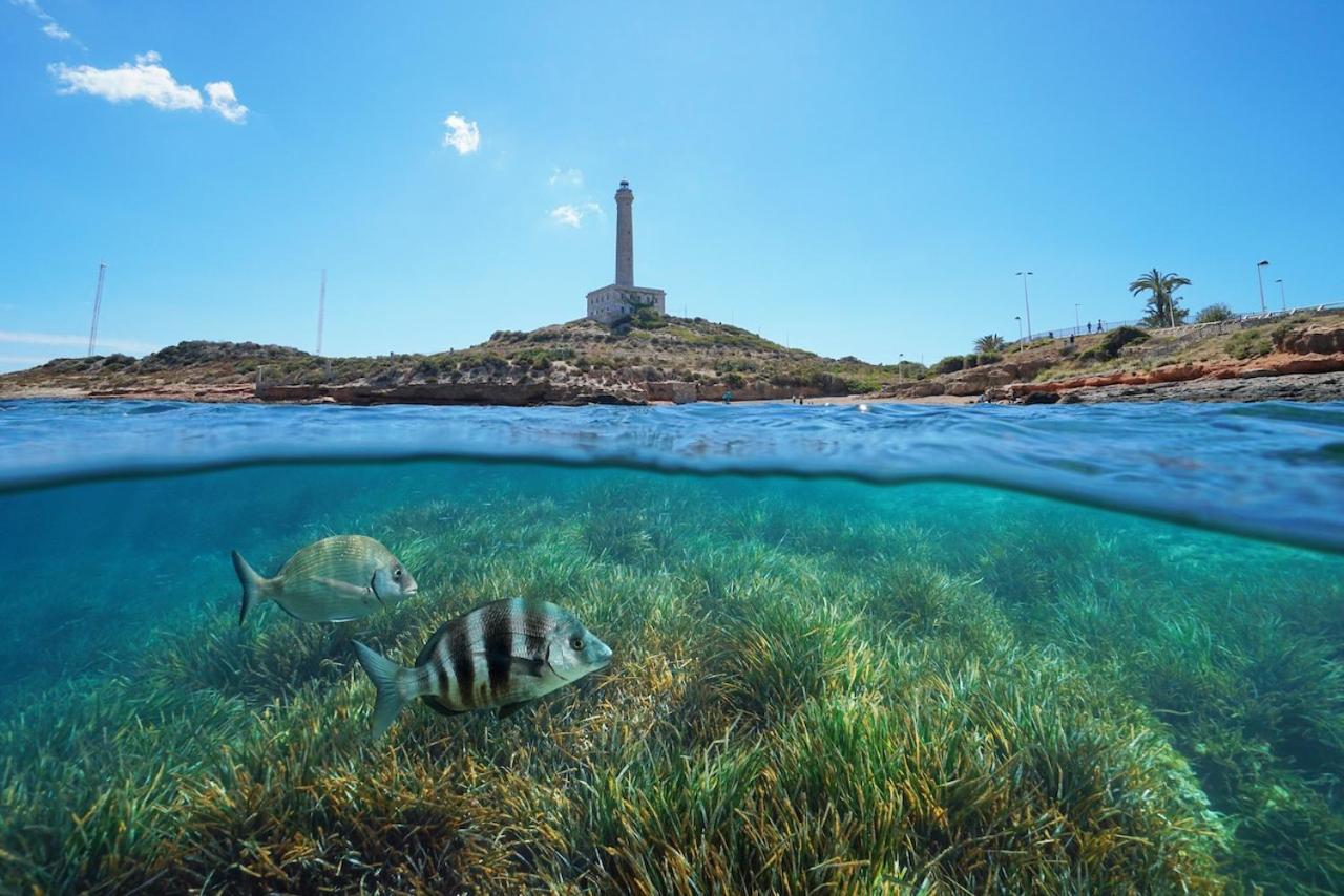 Ático estilo marinero con increíbles vistas al Mar Menor