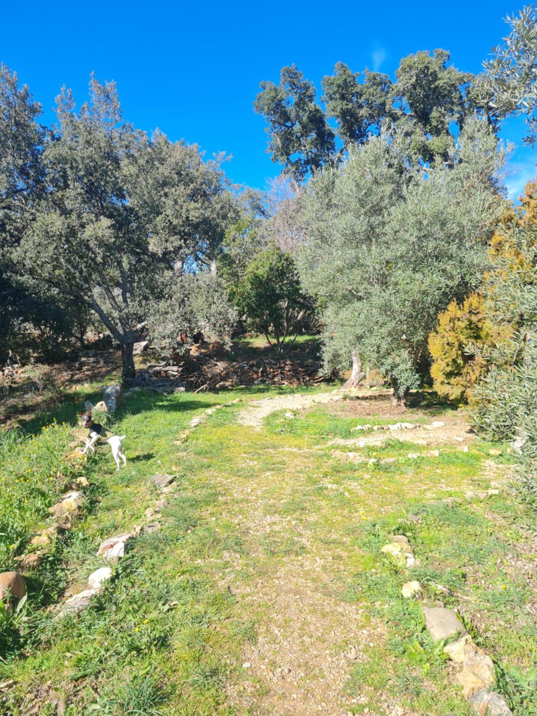 Photo 28
