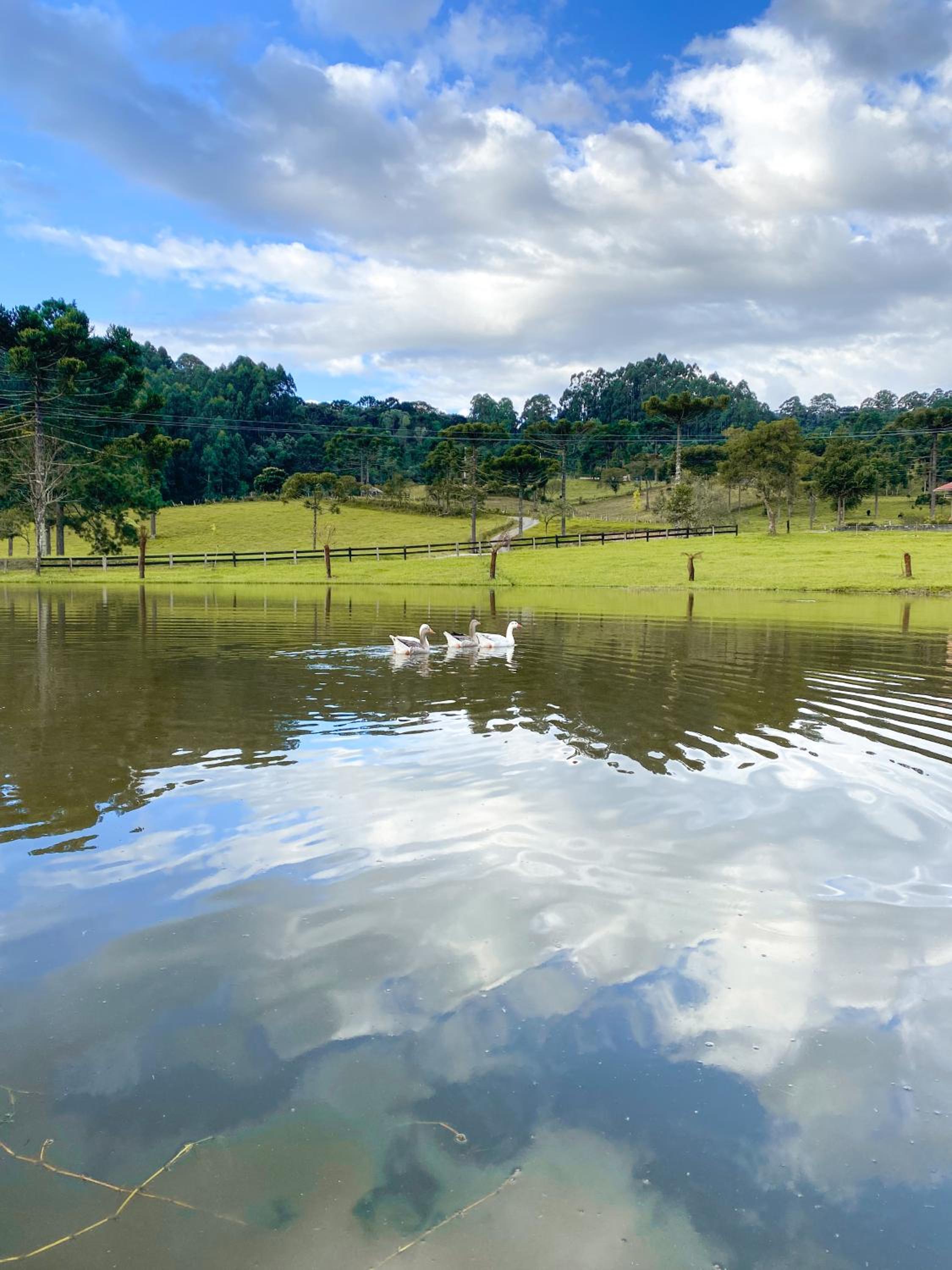 Pousada Rural Pavão - Suites e Chalés