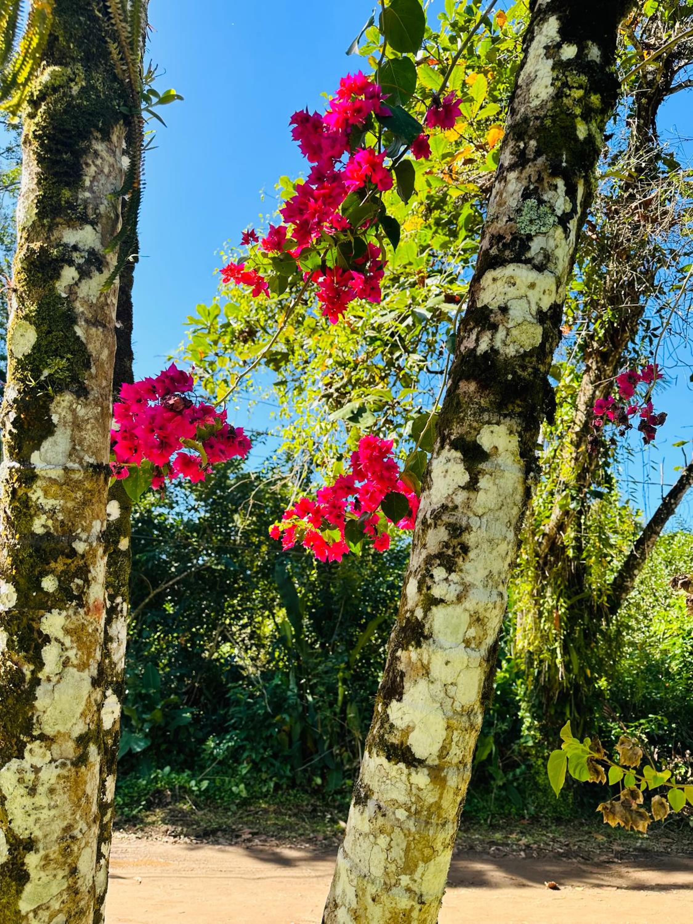 Paraíso em Ubatuba
