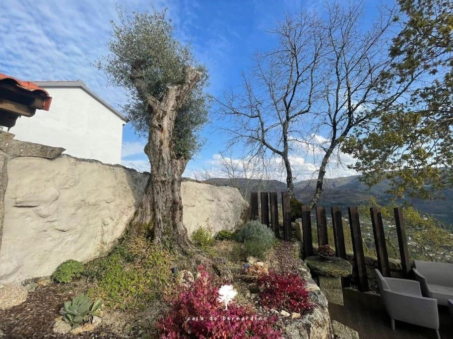 Casa do Bernardino view 4