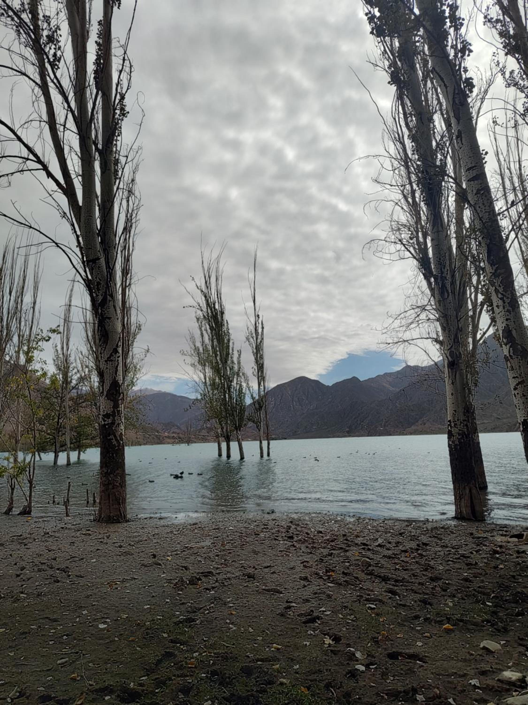 POTRERILLOS - Cabaña Alpina