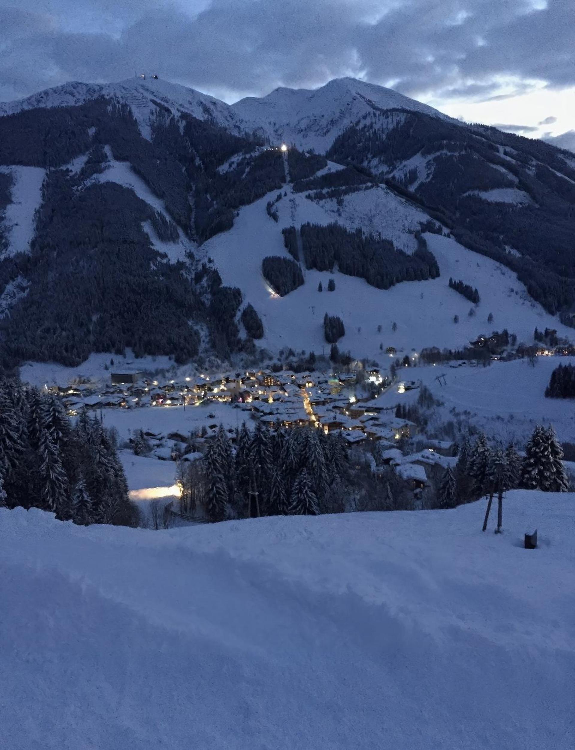 Bear Hutte Saalbach near Billa
