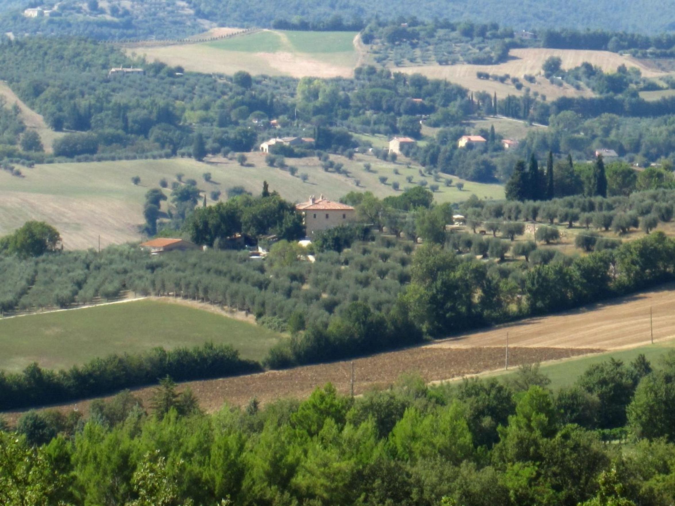 Casale dei Dotti