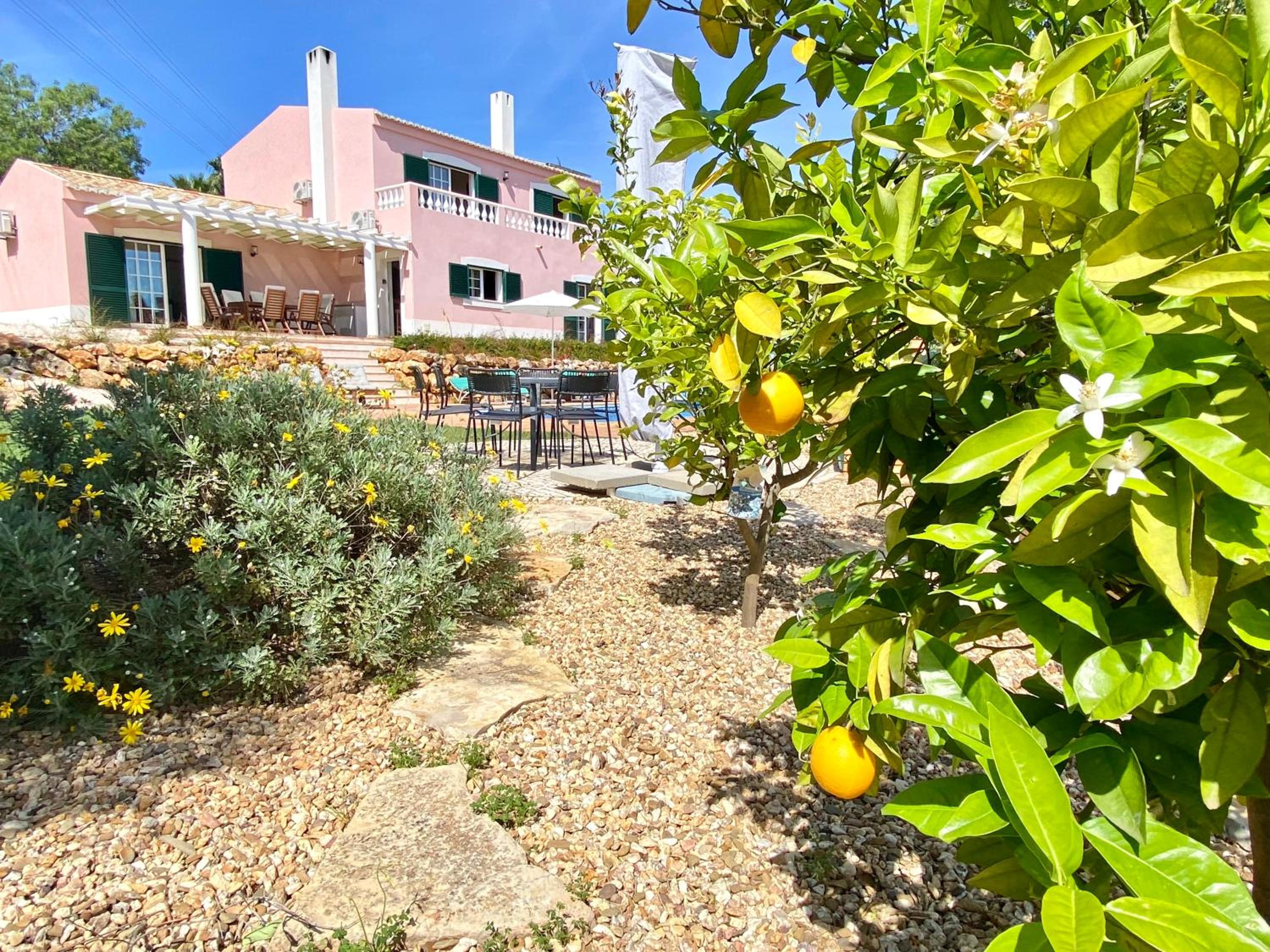 Casa Rosa view 4