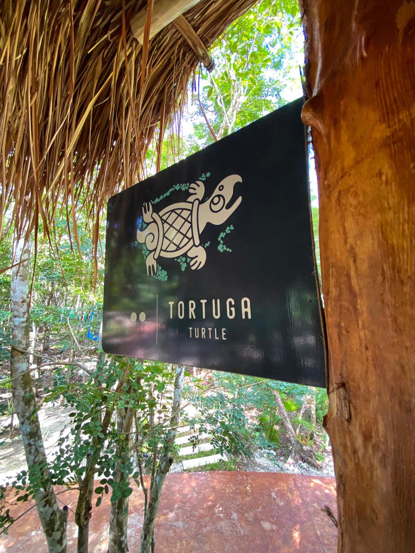 Villas Zamna - Jungle Villas view 3