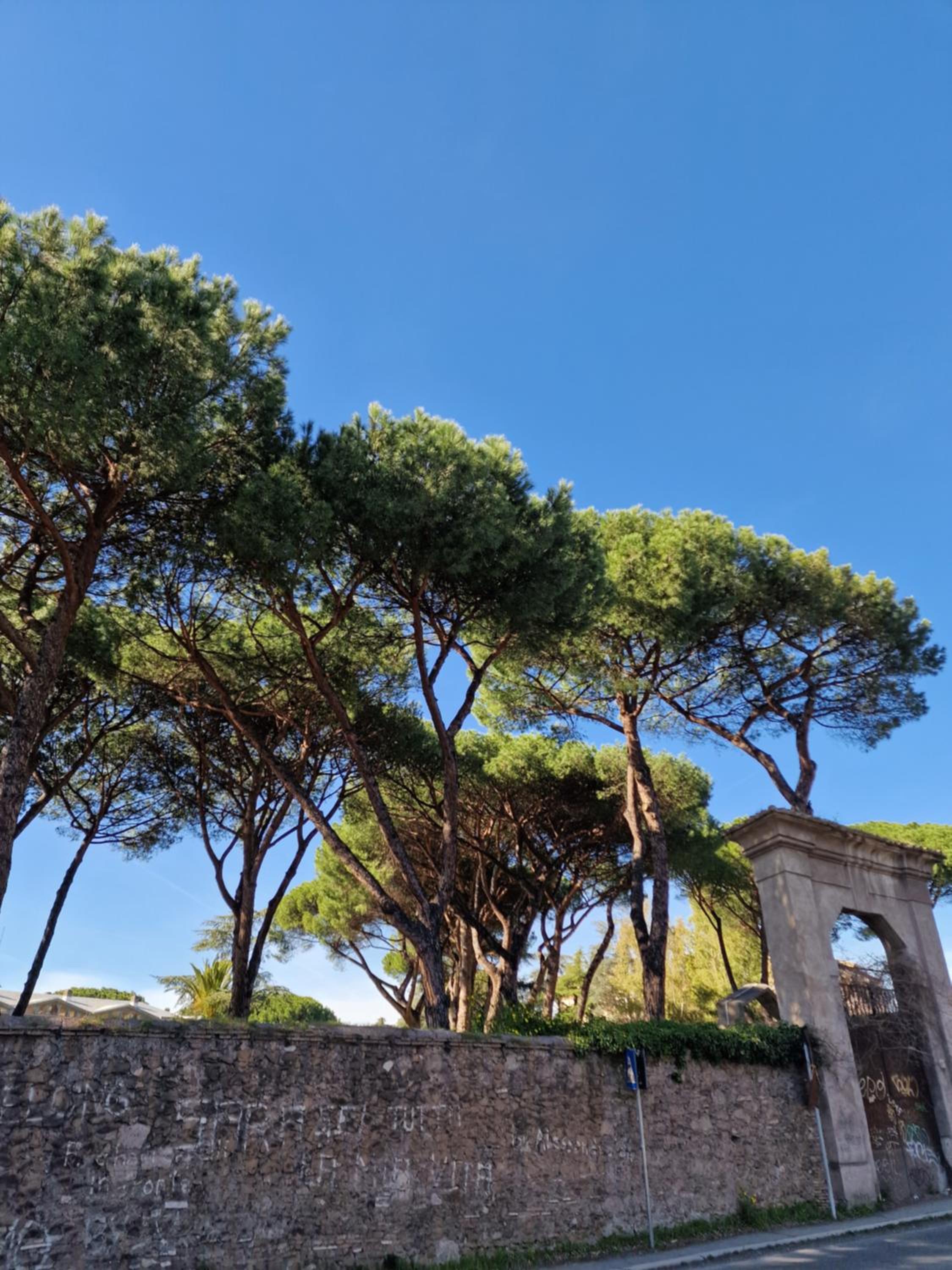 Vacanze Romane Apartments - Vatican City