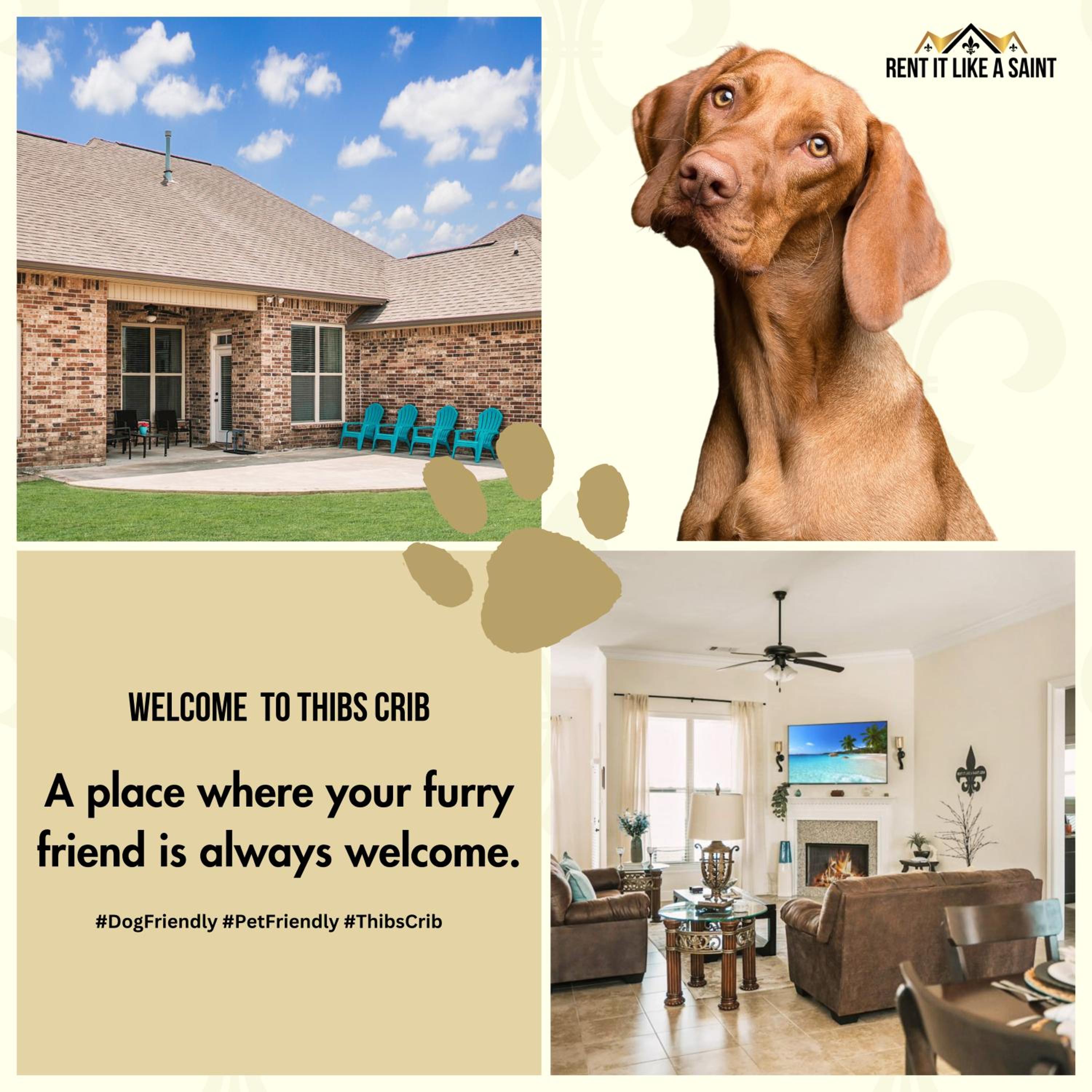 Contractor-ReadyPets OK 2 Kings Fast WiFi
