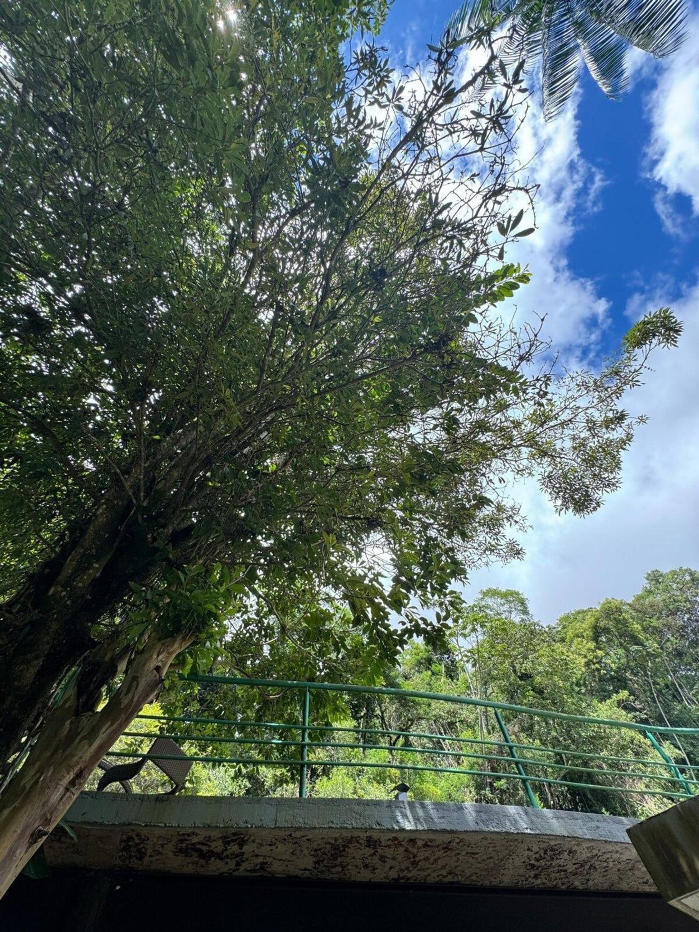 Jacuzzi e Lareira | Paz na natureza