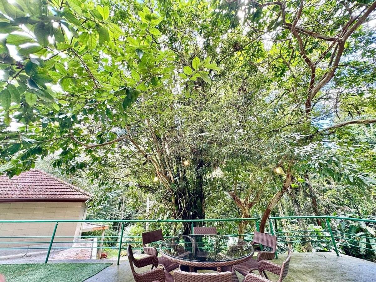 Jacuzzi e Lareira | Paz na natureza