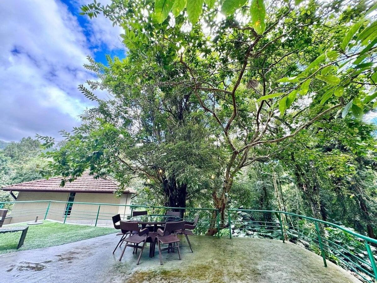 Jacuzzi e Lareira | Paz na natureza