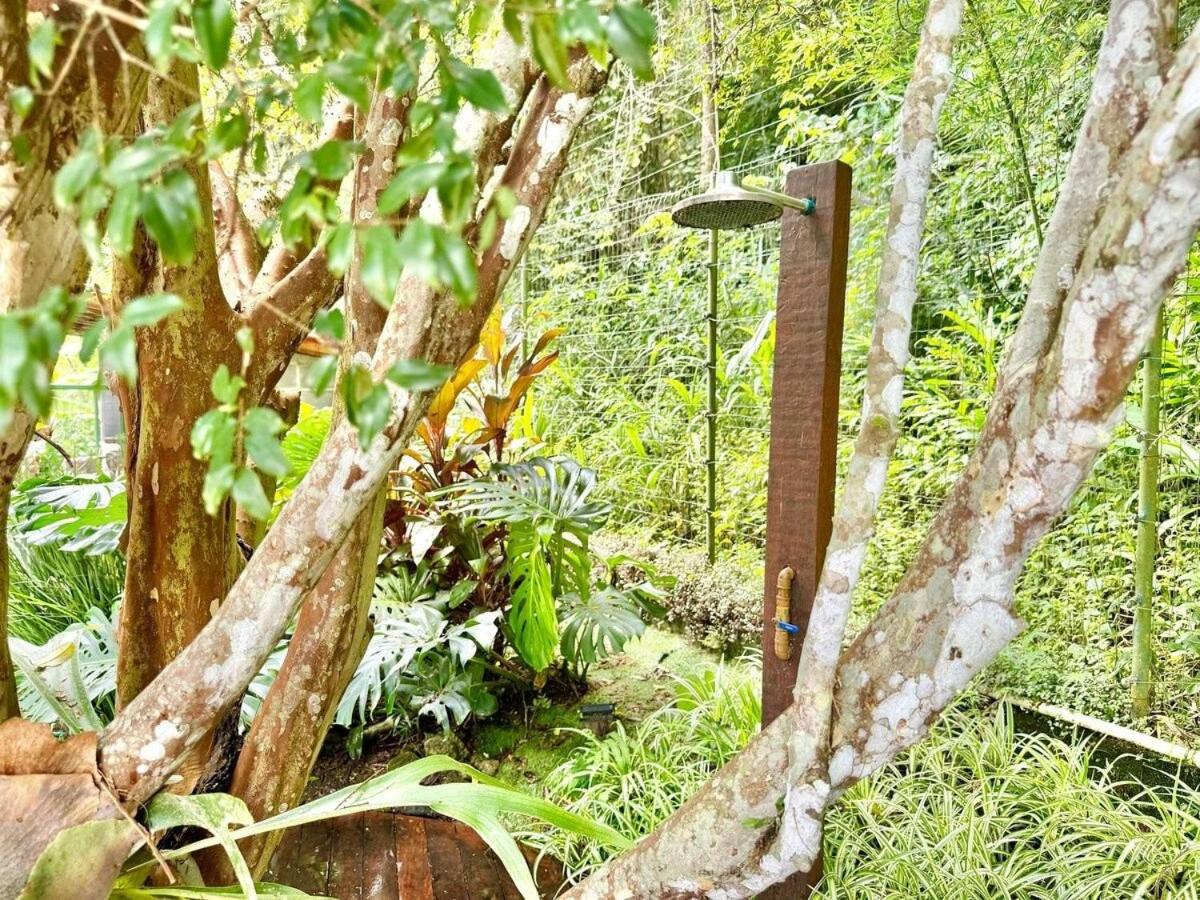 Jacuzzi e Lareira | Paz na natureza
