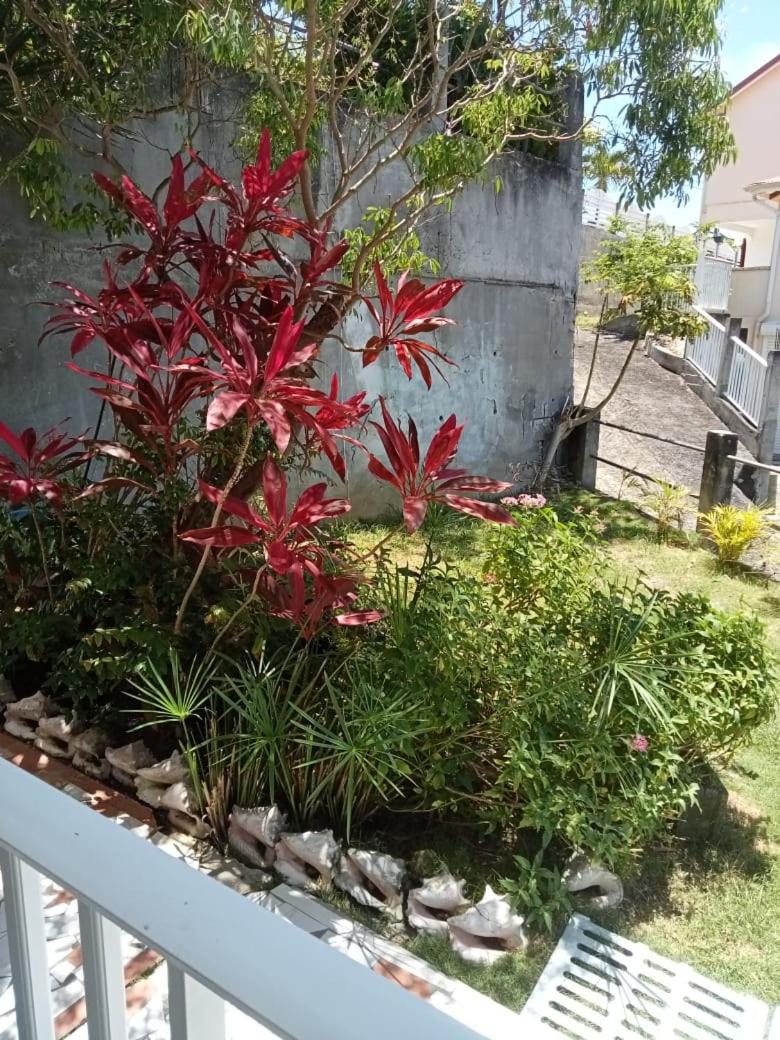 Barbin's Seaview House view 5