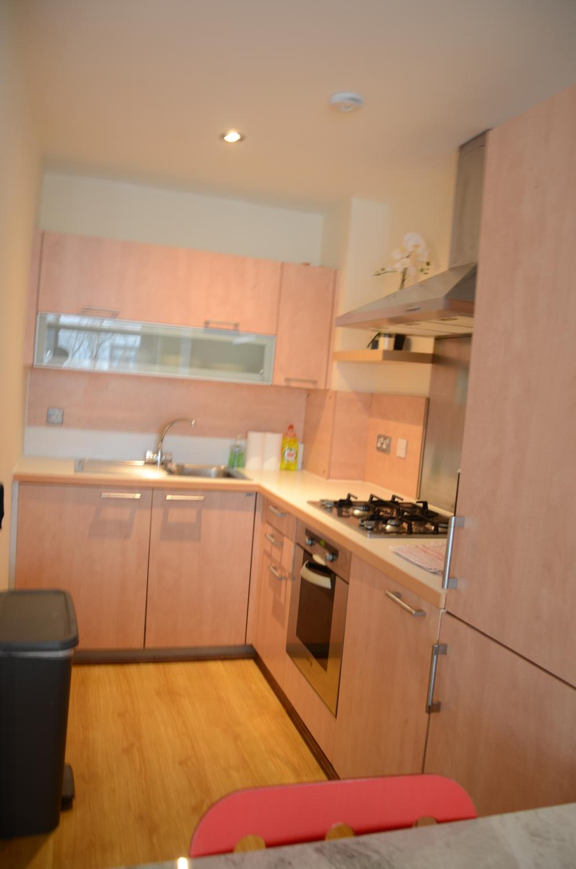 Luxe Apt in the Heart of Dublin