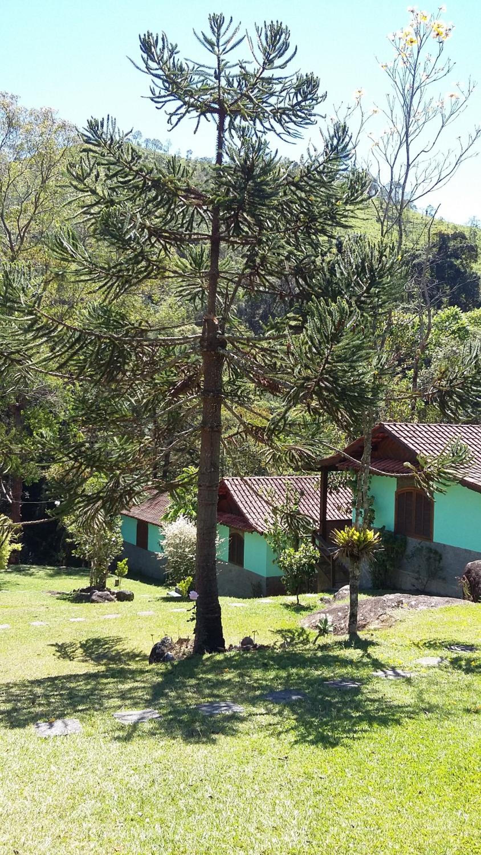Pousada Brilho da Natureza