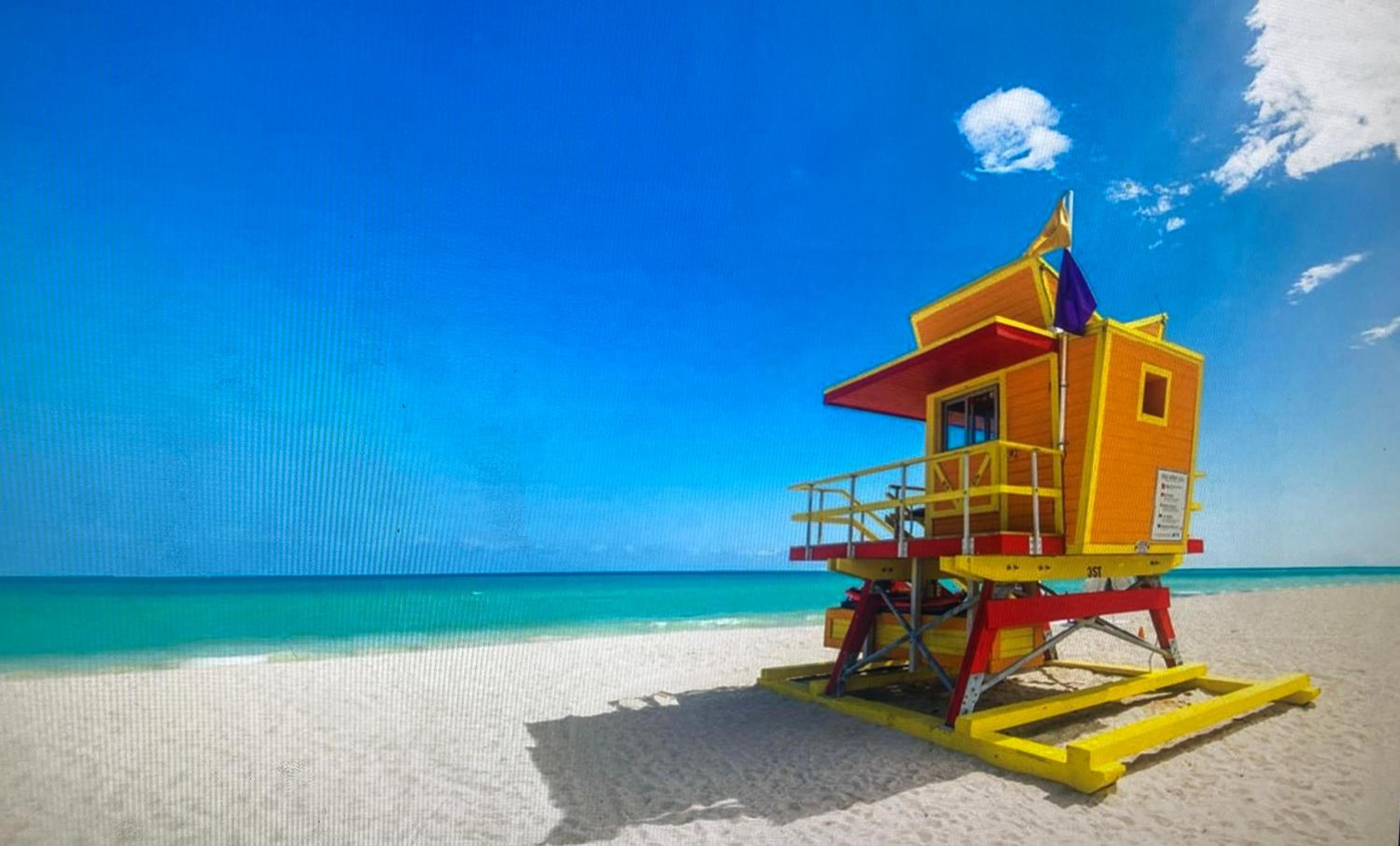 Artful 3BR Oasis in Little Haiti, Miami