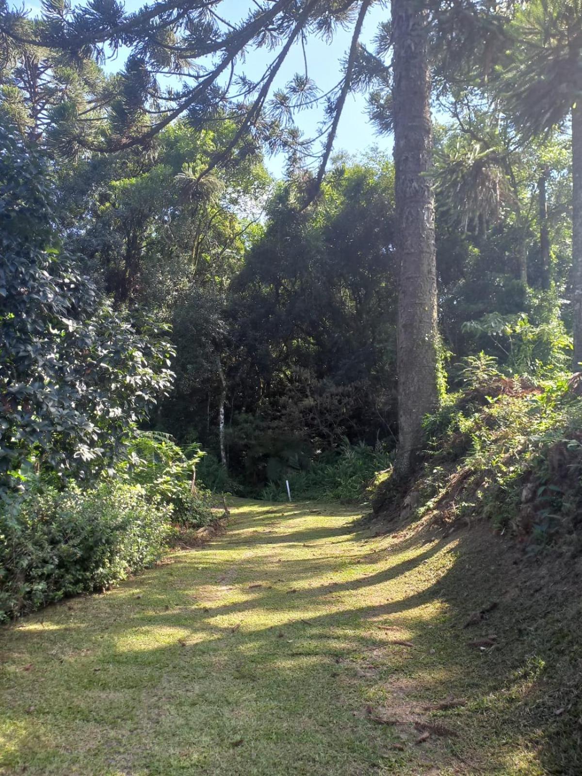 Casa ampla e aconchegante em Gramado