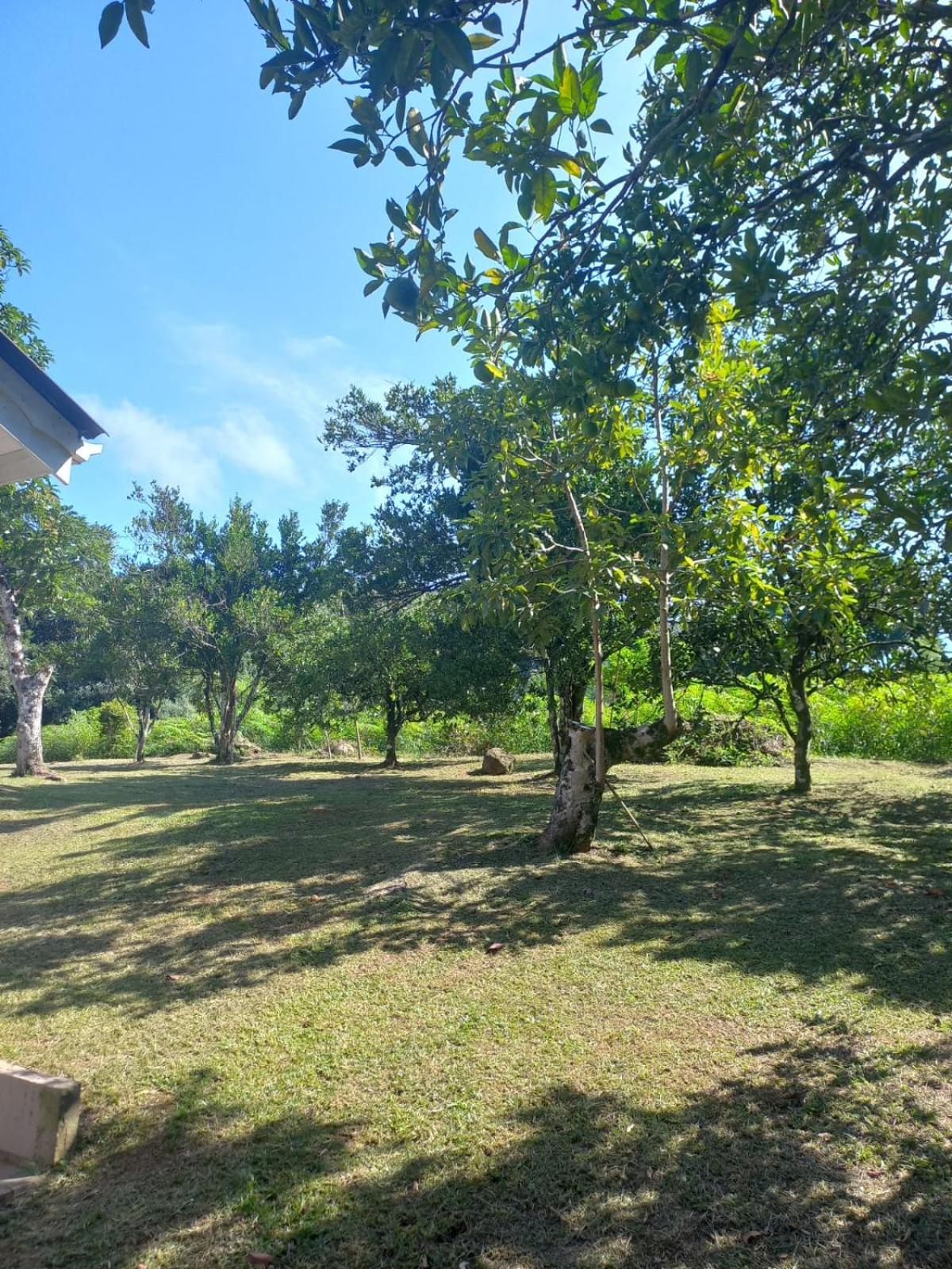 Casa ampla e aconchegante em Gramado