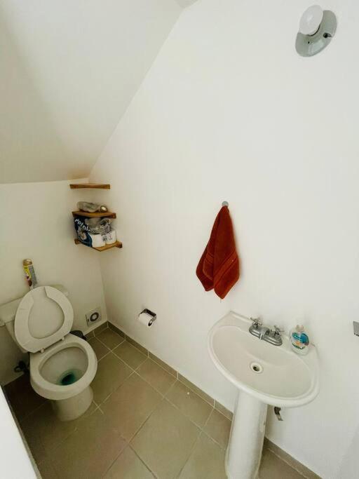 Photo 28