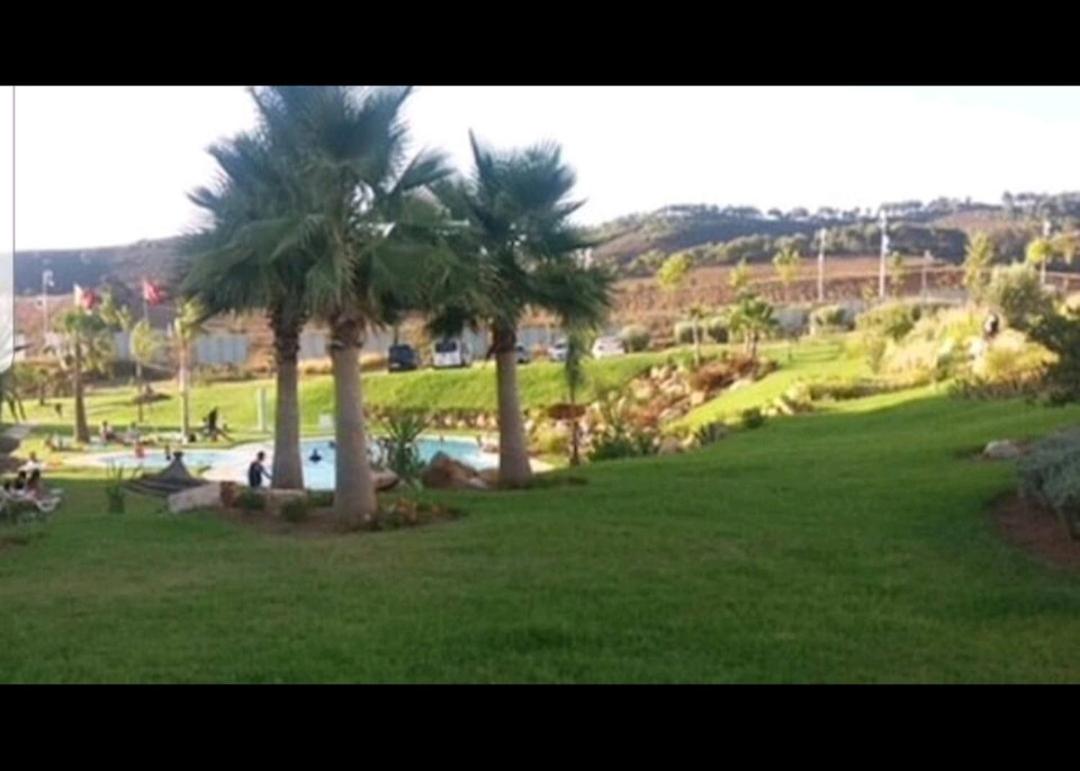 Lilac's garden, photo 8
