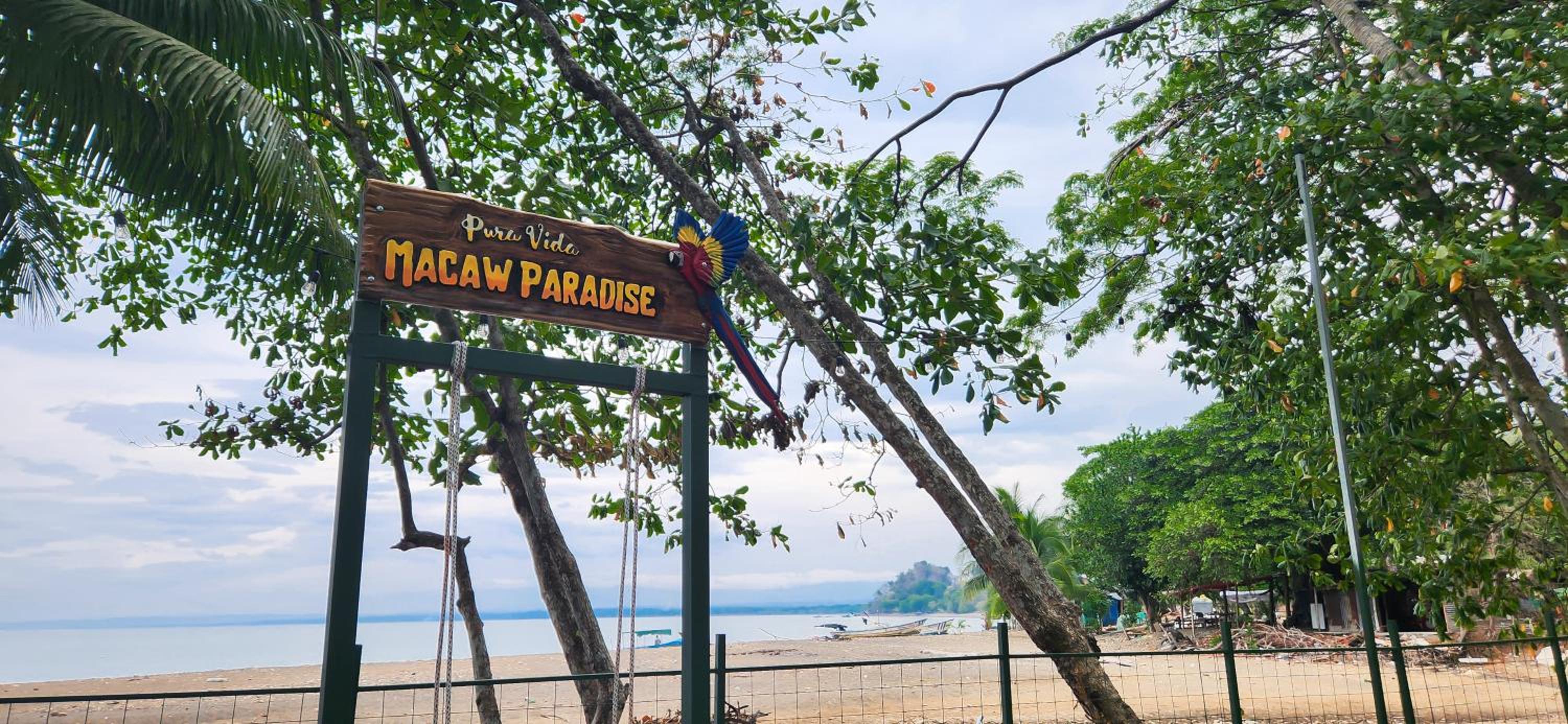 Macaw Paradise