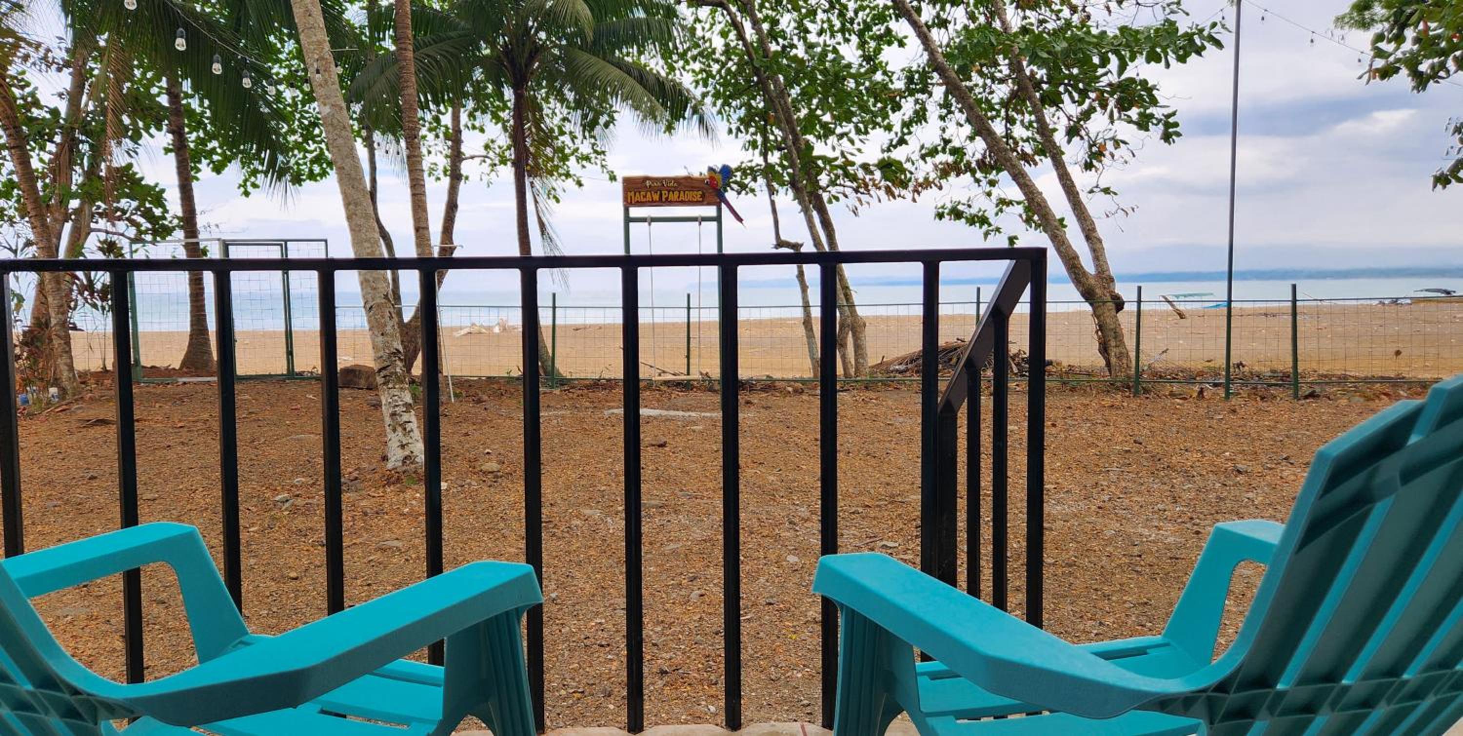 Macaw Paradise