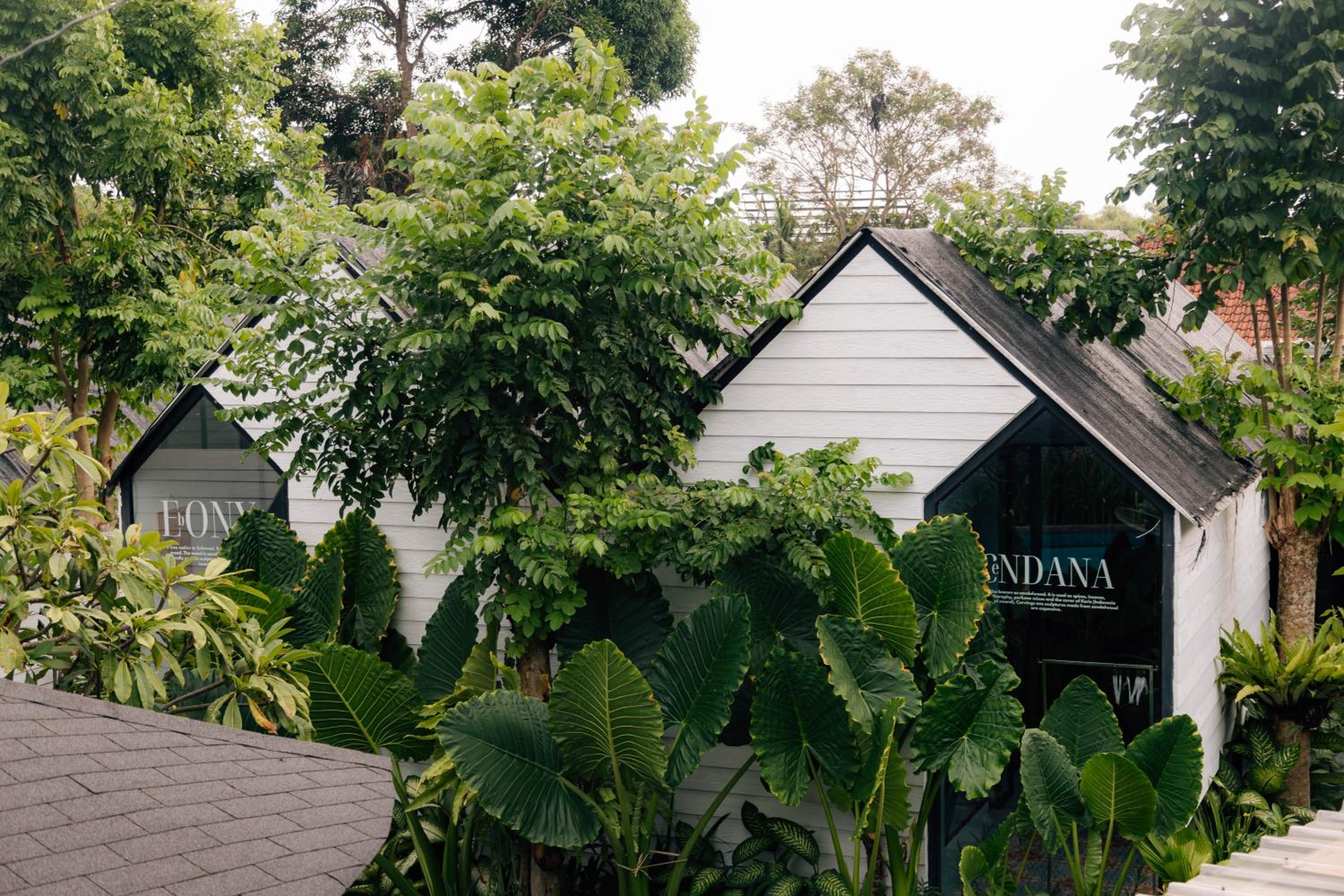 The Jungle Hostel Canggu — photo 143
