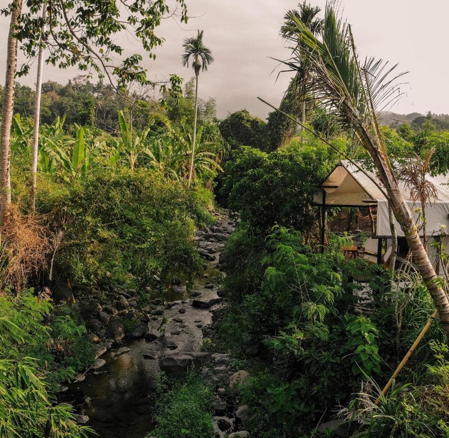 Camani Glamping