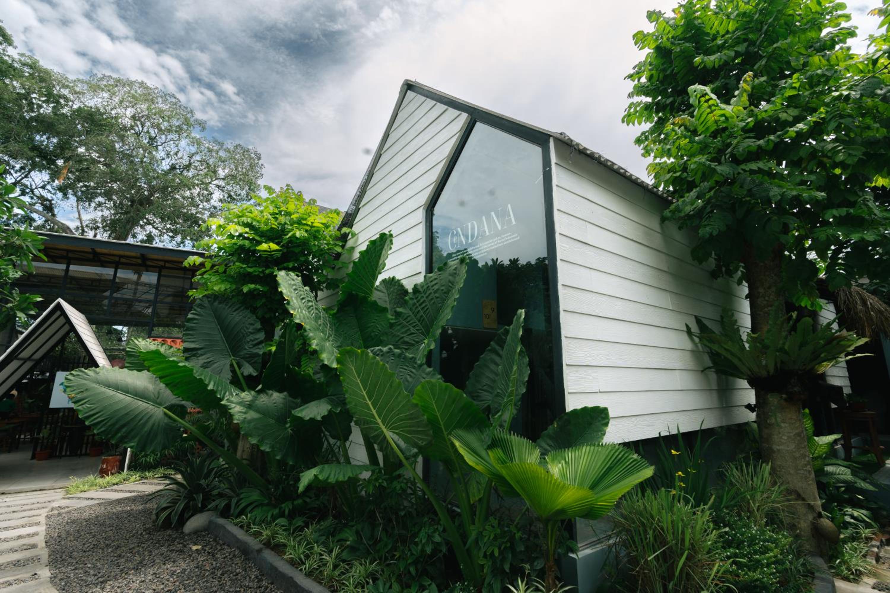 The Jungle Hostel Canggu — photo 34