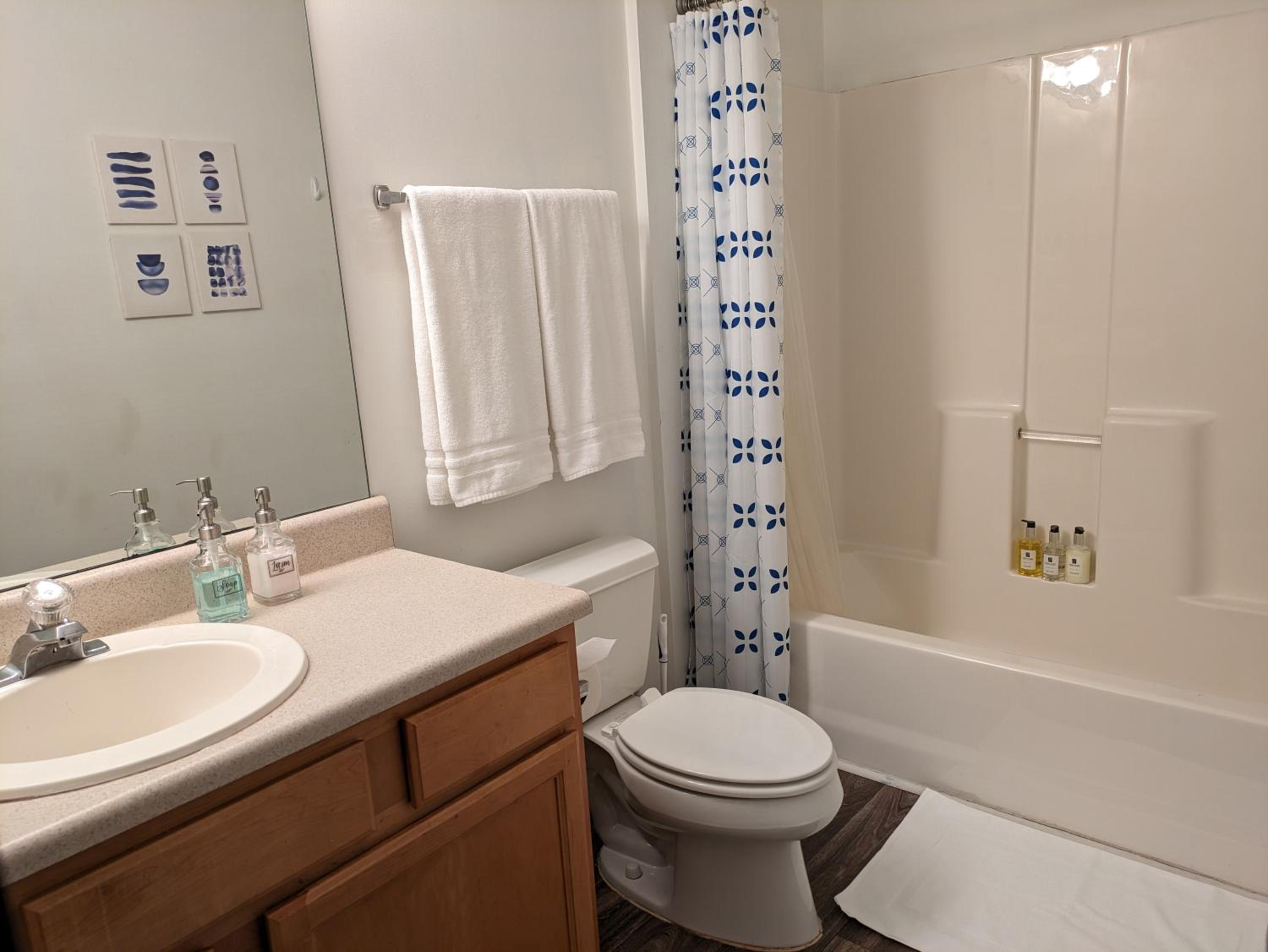 Relaxing Rural Retreat In Mableton - 30 Min to ATL view 3