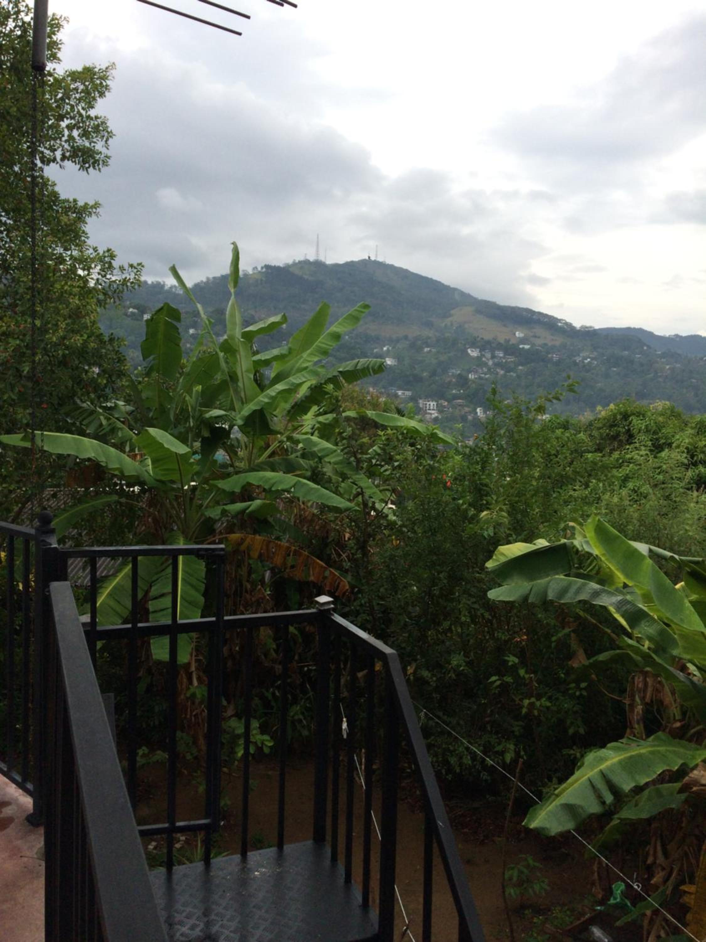 Primrose Homestay