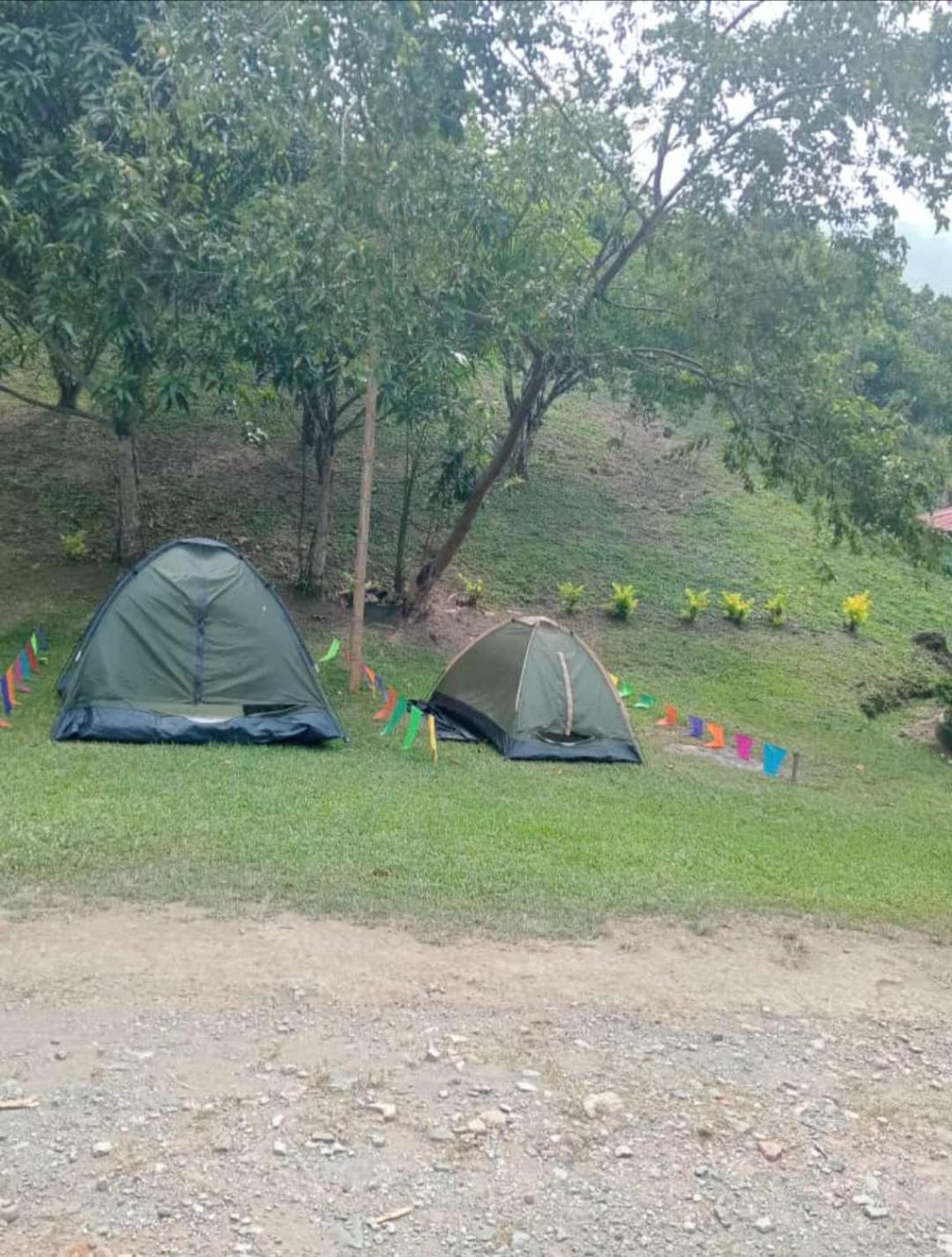 CAMPING Y PISCINA LOS NARANJOS