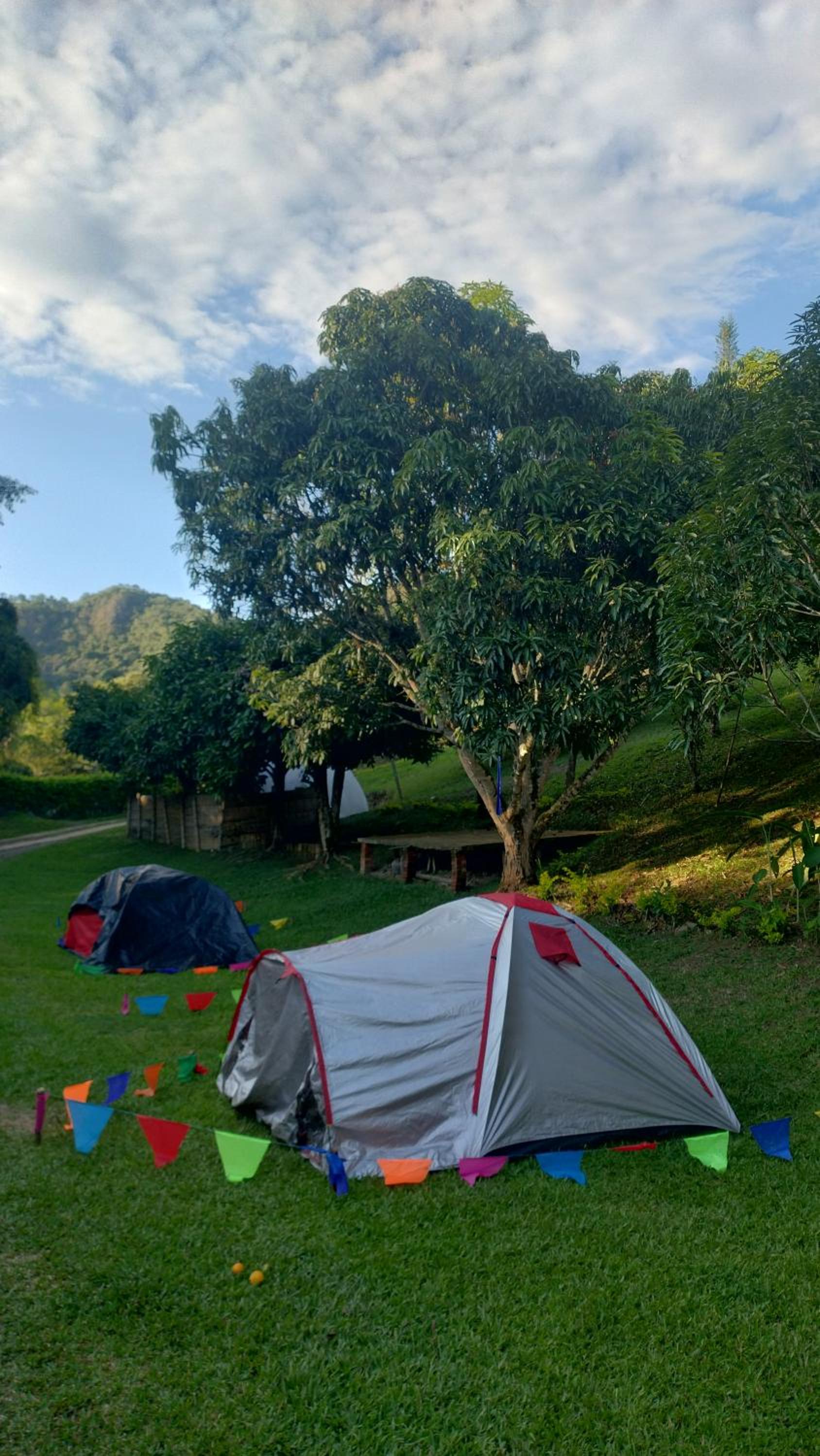 CAMPING Y PISCINA LOS NARANJOS