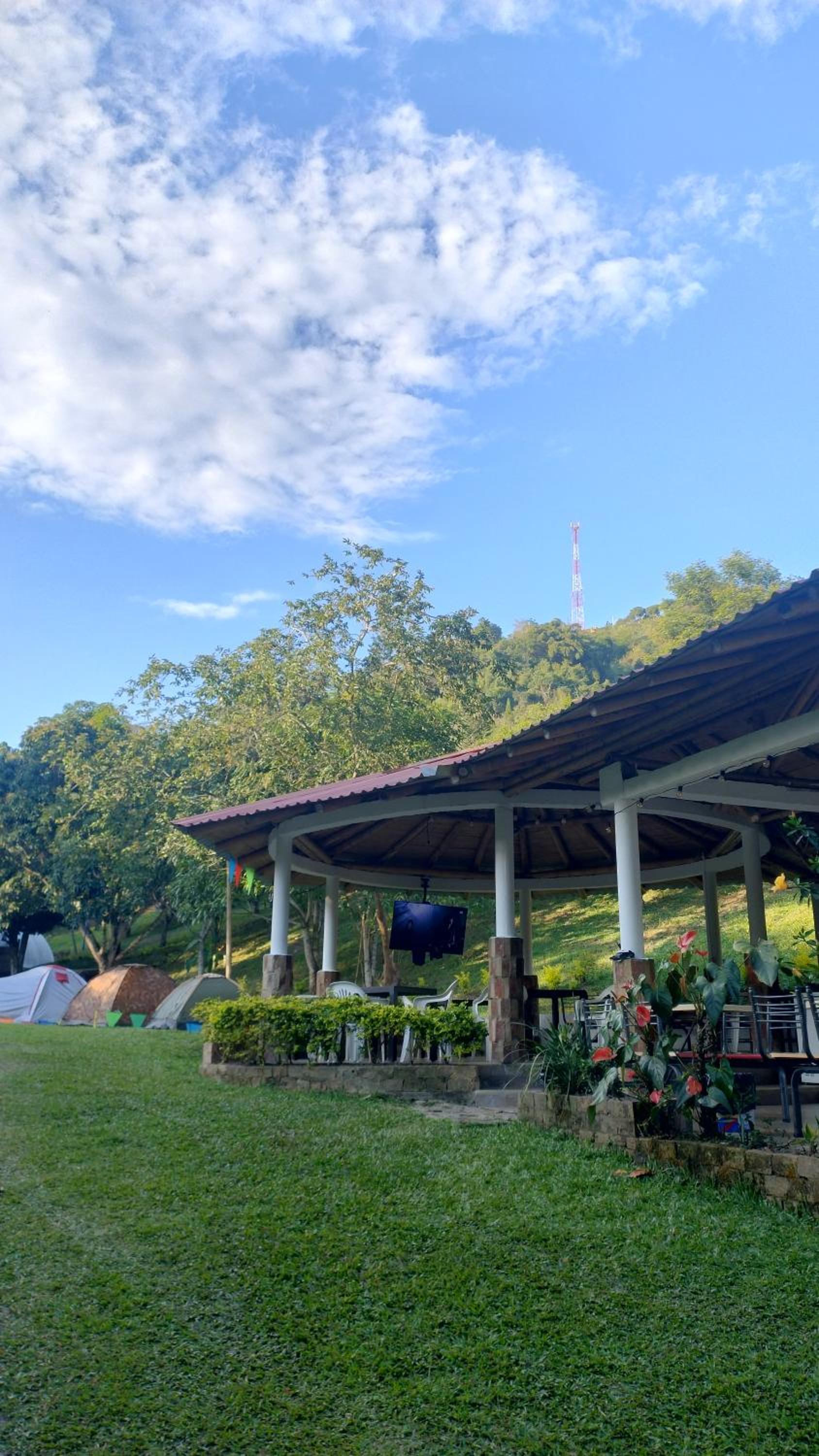 CAMPING Y PISCINA LOS NARANJOS