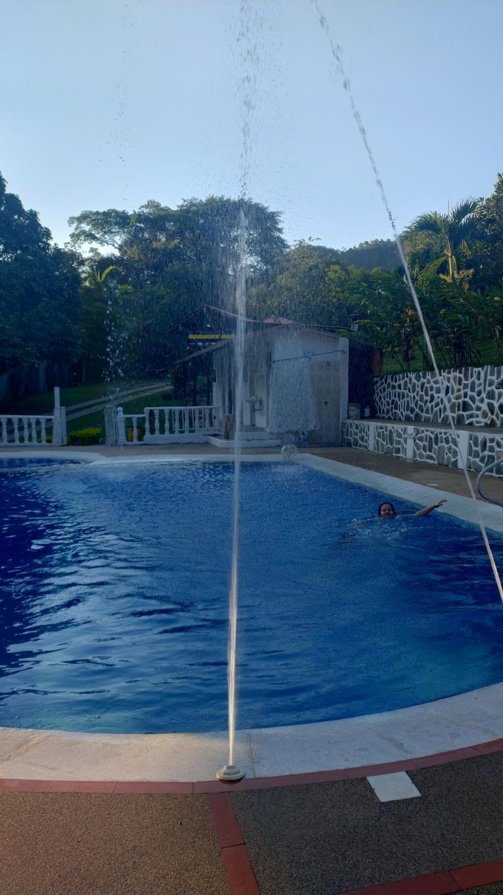 CAMPING Y PISCINA LOS NARANJOS