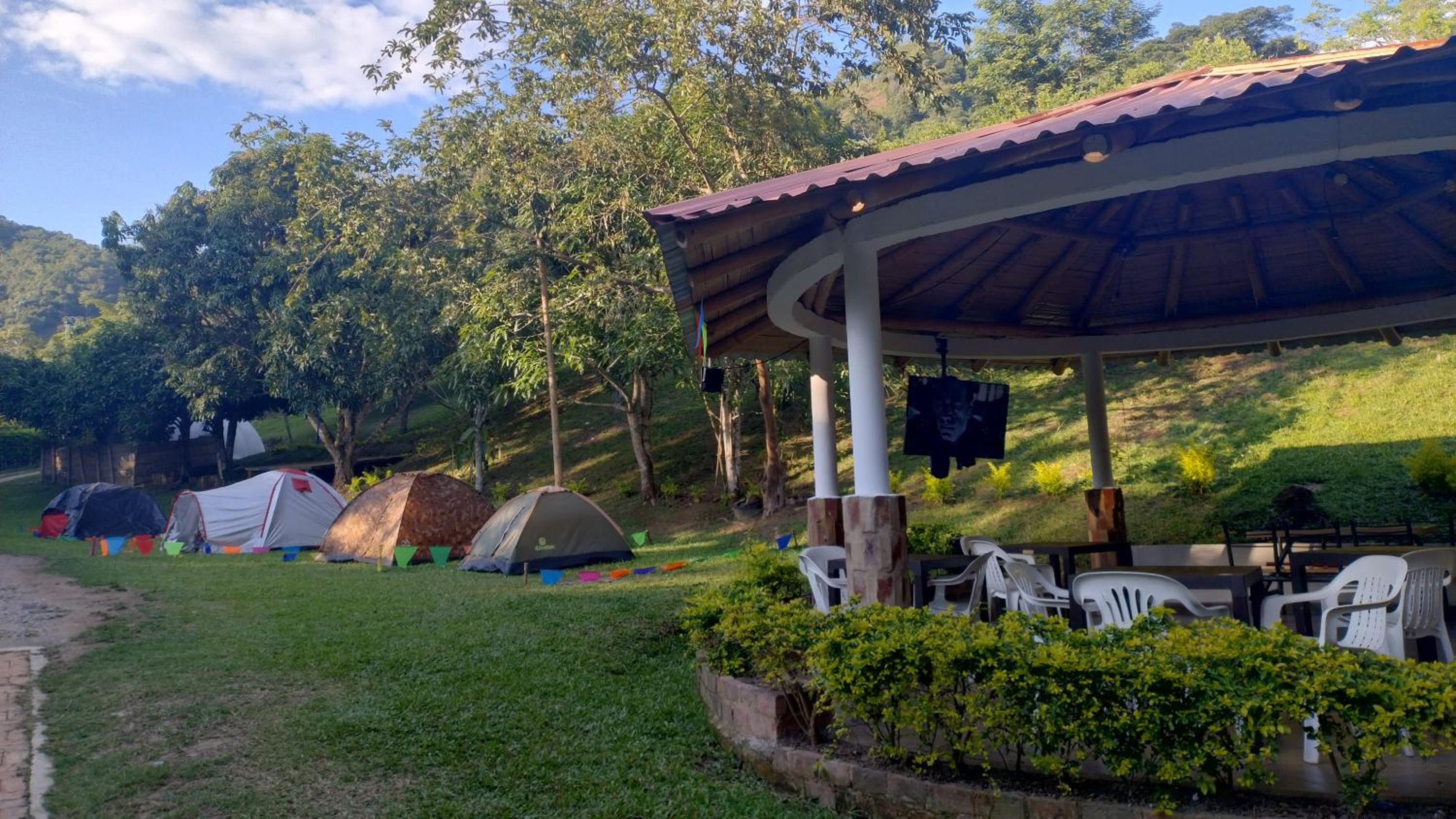 CAMPING Y PISCINA LOS NARANJOS
