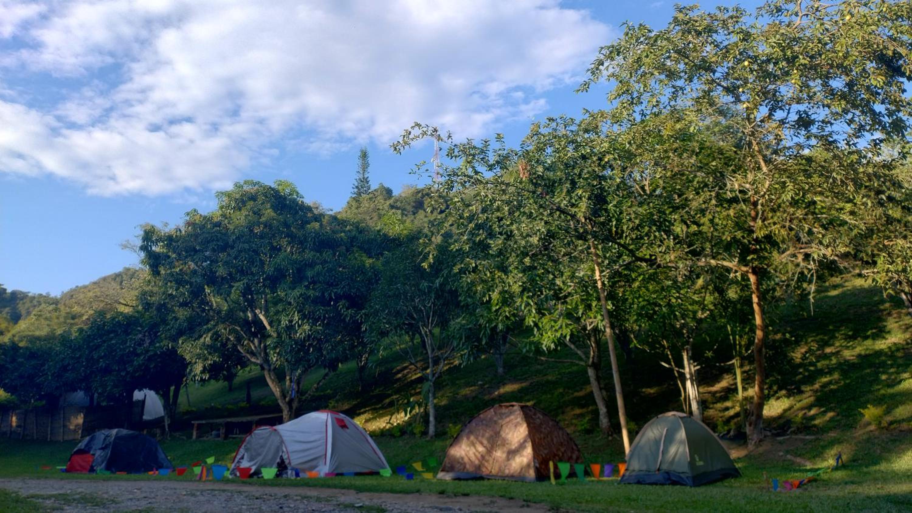 CAMPING Y PISCINA LOS NARANJOS