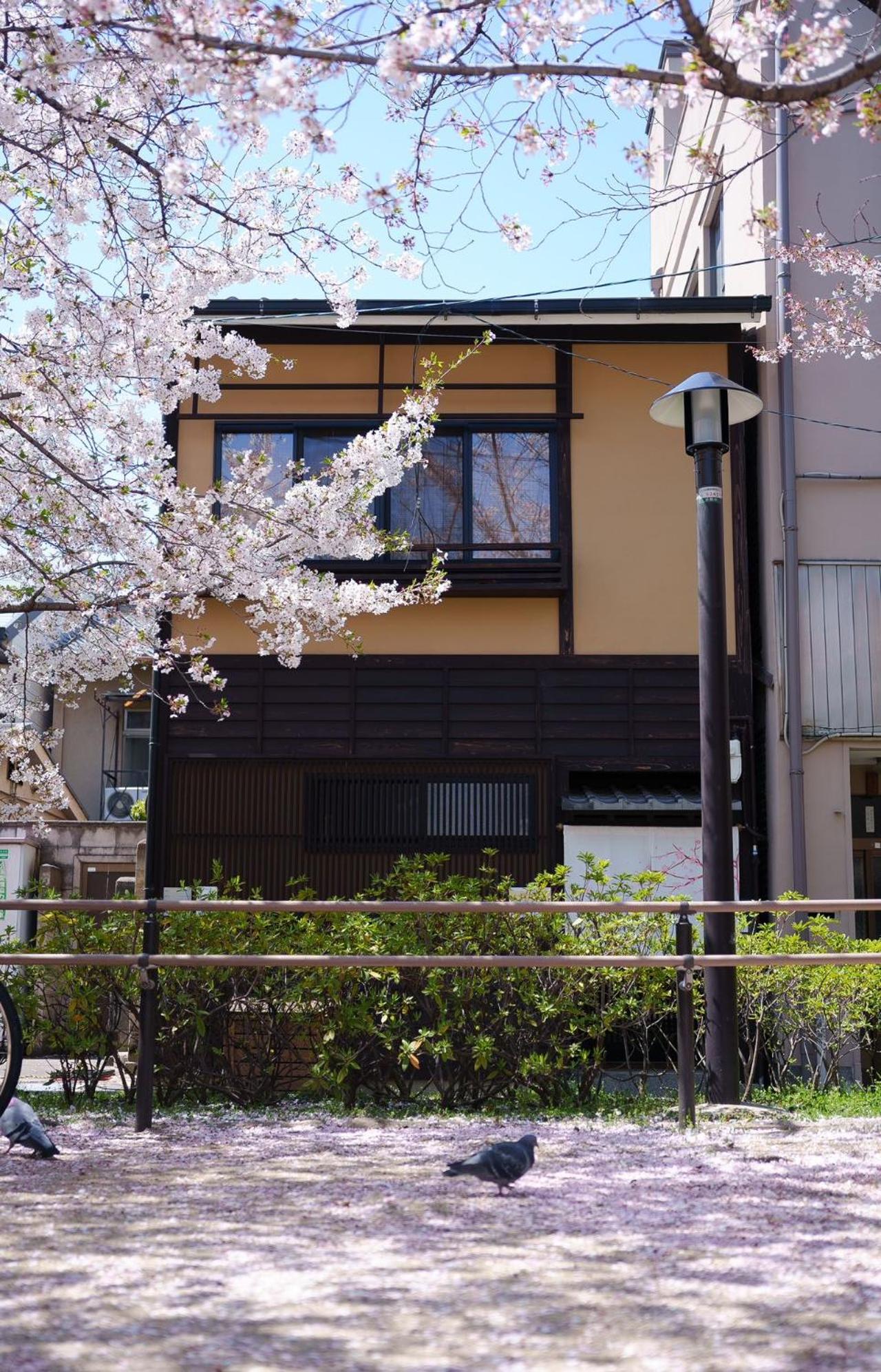 Konayuki Inn Machiya 粉雪の宿 6min walk from Kyoto St