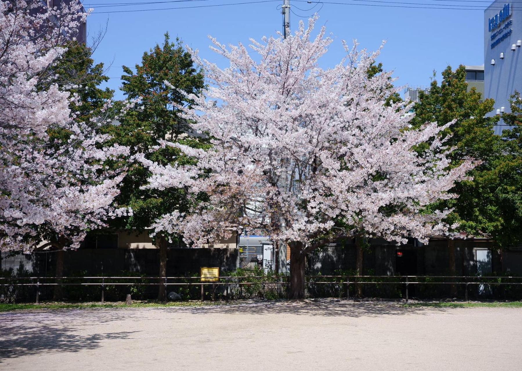 Konayuki Inn Machiya 粉雪の宿 6min walk from Kyoto St