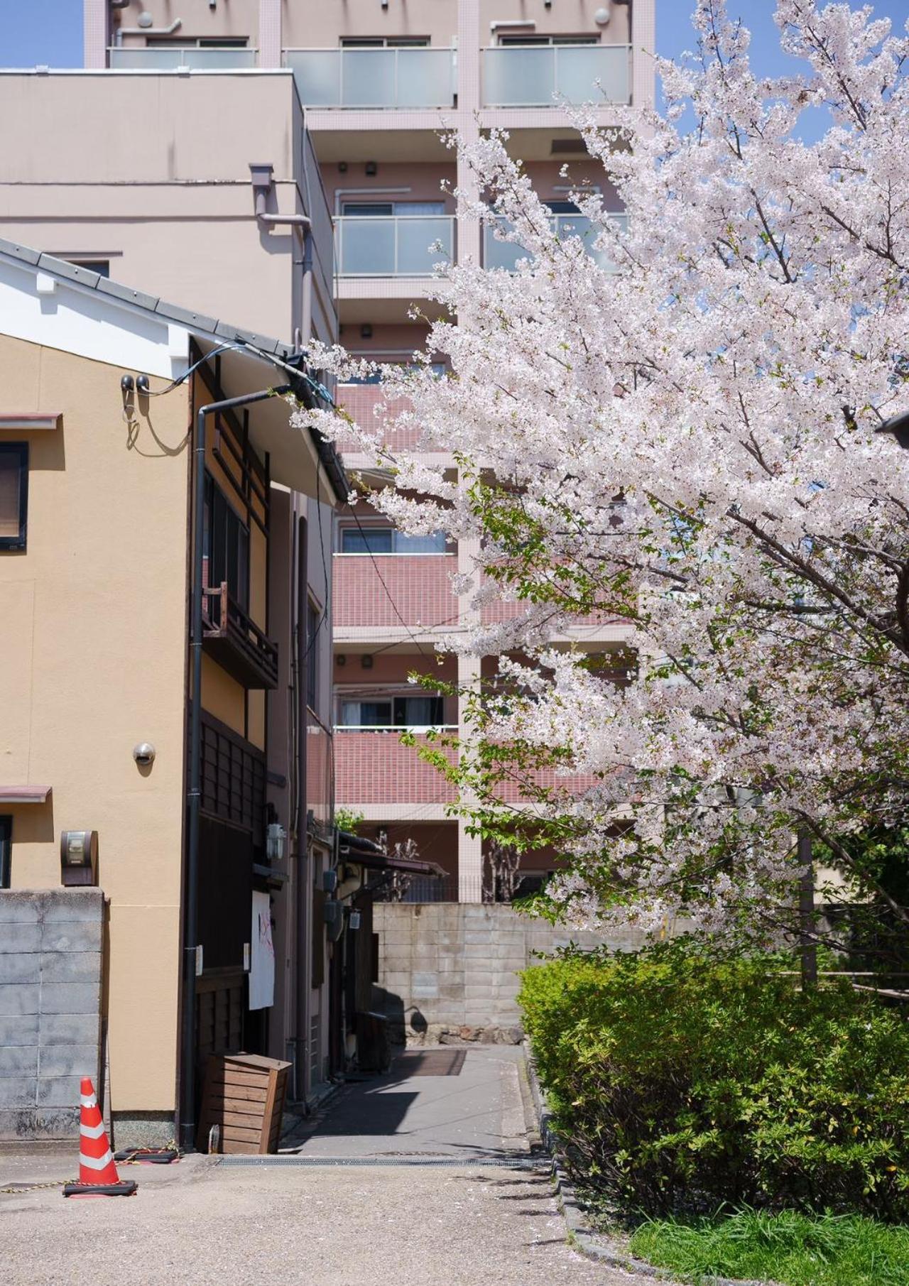 Konayuki Inn Machiya 粉雪の宿 6min walk from Kyoto St