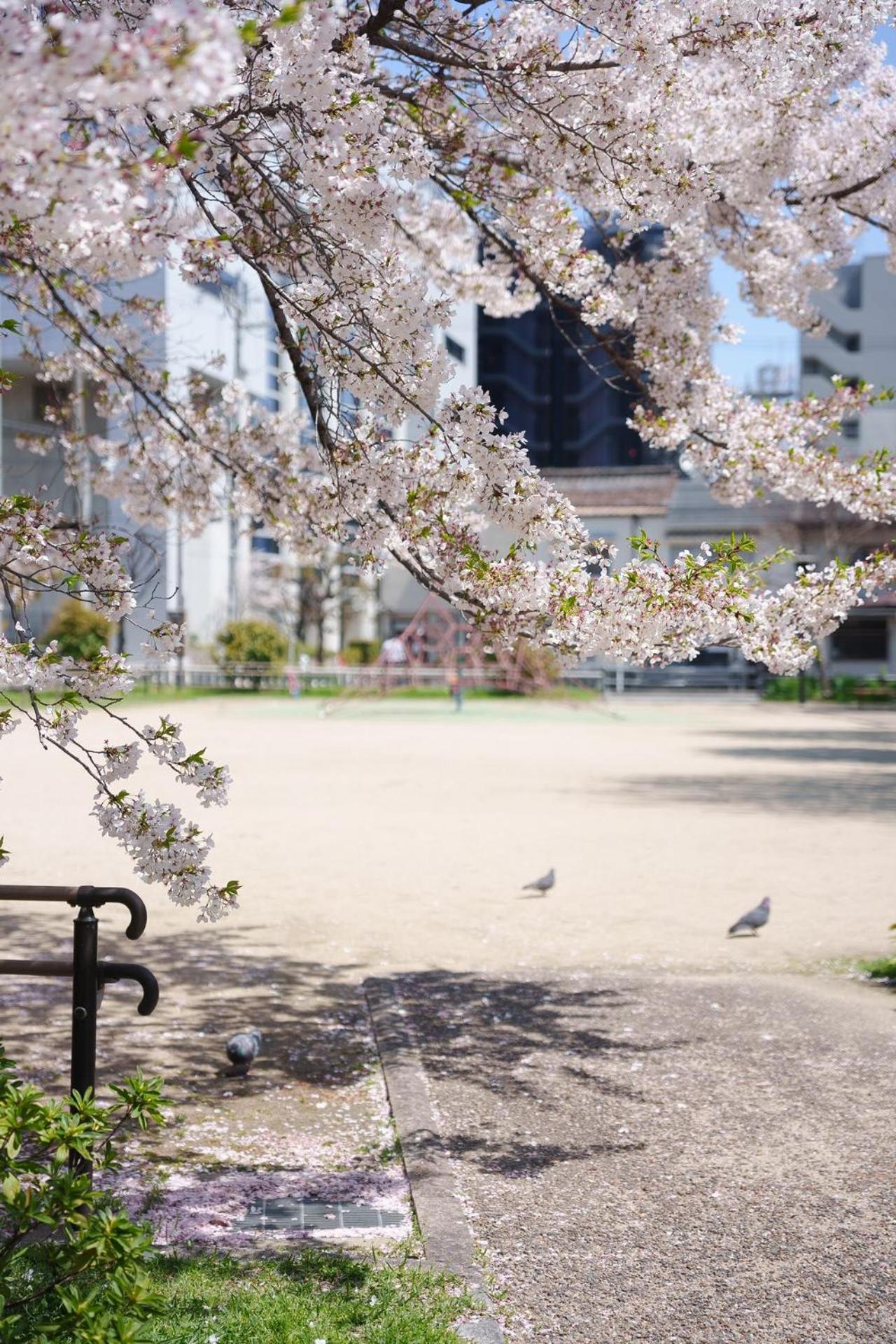 Konayuki Inn Machiya 粉雪の宿 6min walk from Kyoto St