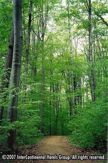 Staybridge Suites Oakville Burlington, an IHG Hotel - Property Image 2