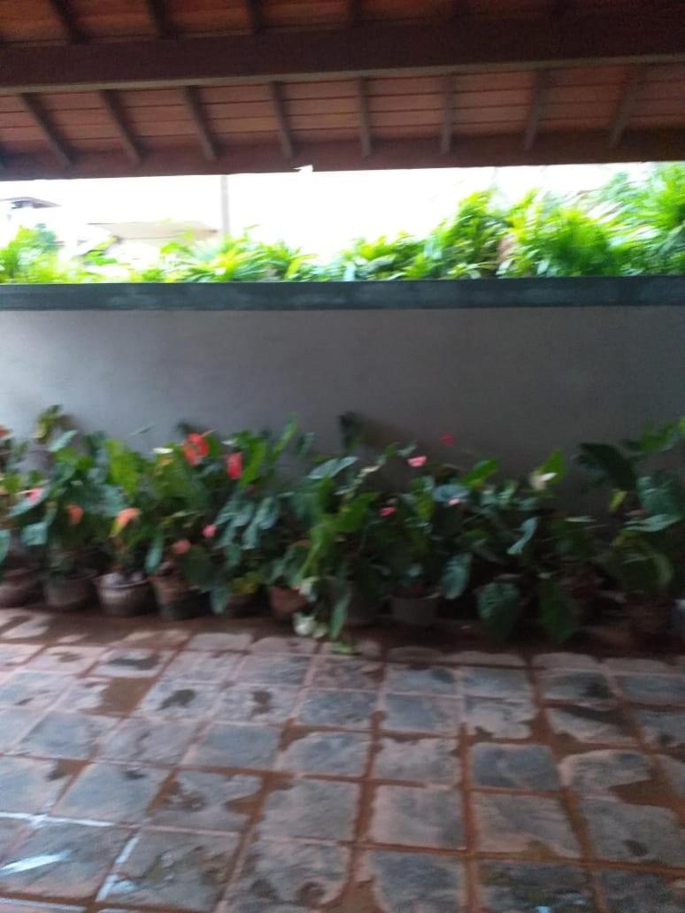 Negombo Holiday Home