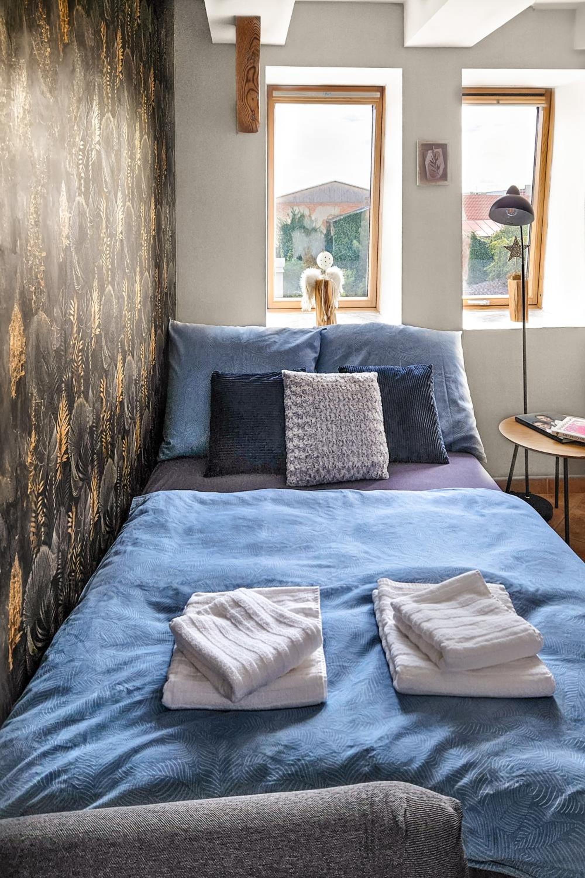 Apartmány v centru