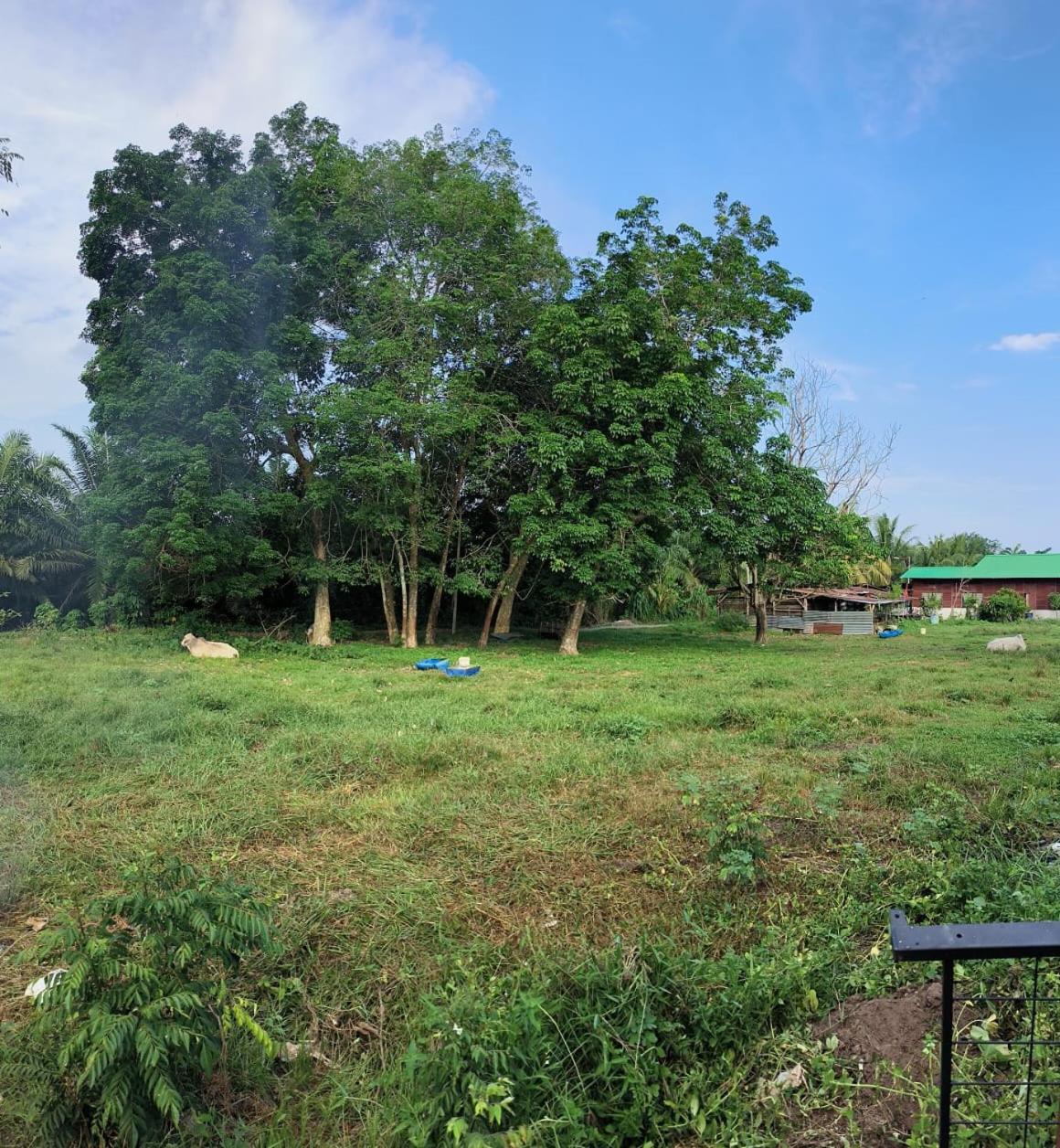 Rumah Bukit photo 8