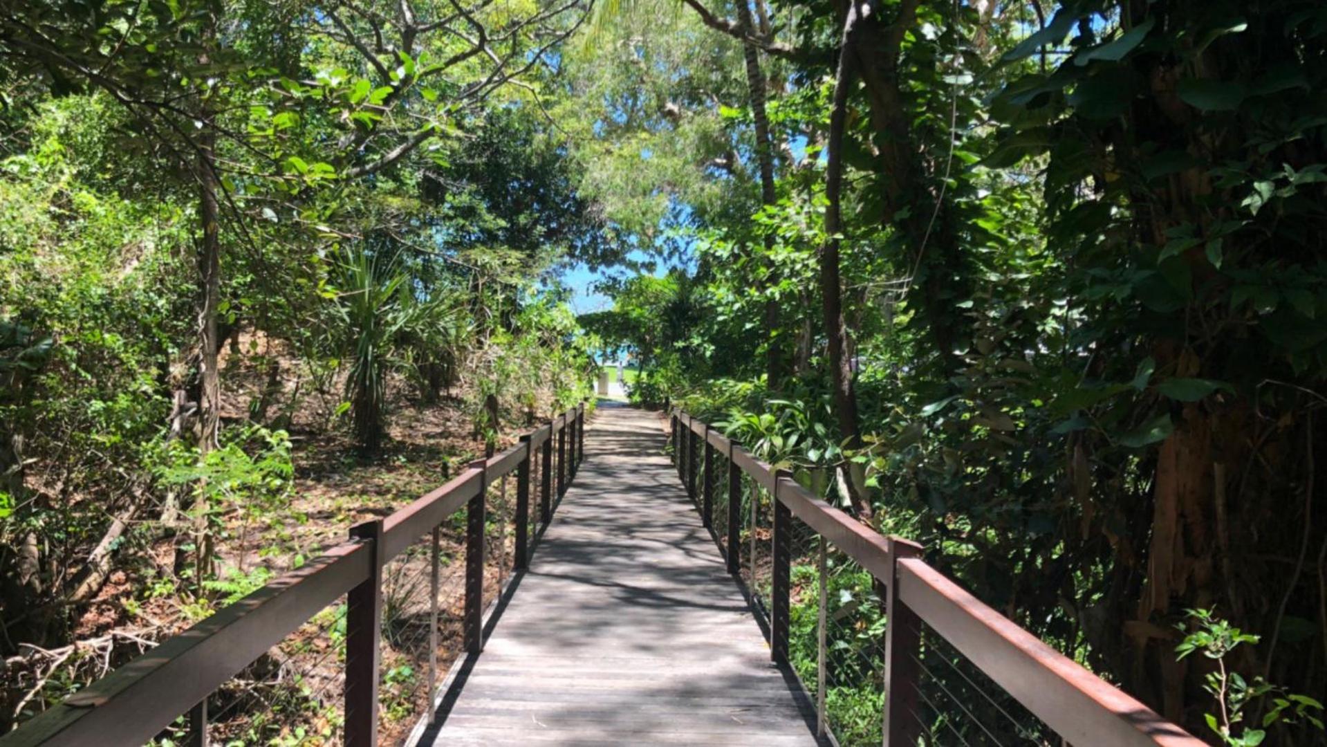 Castaways - Palm Cove