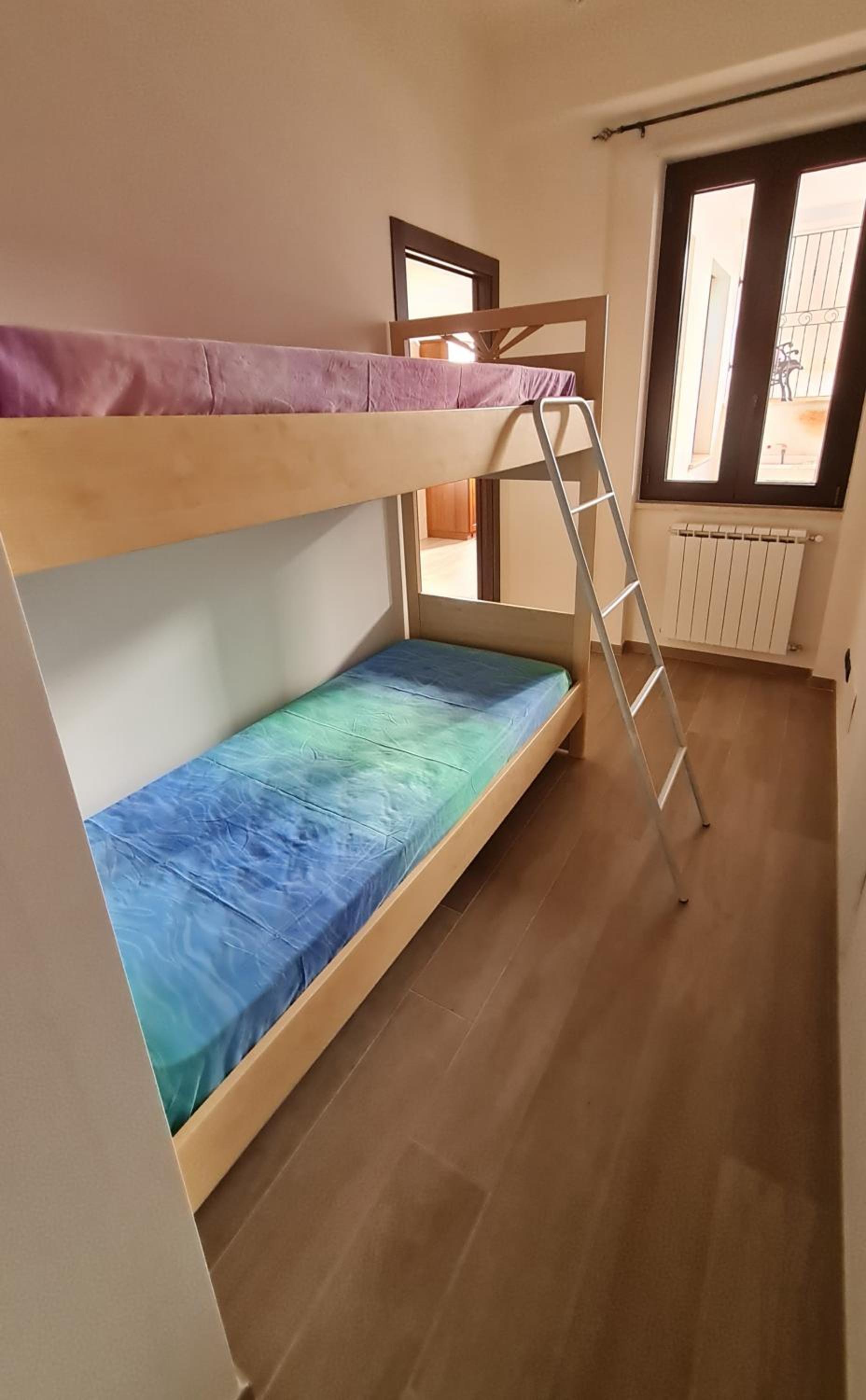 Dasylirion Vacanze
