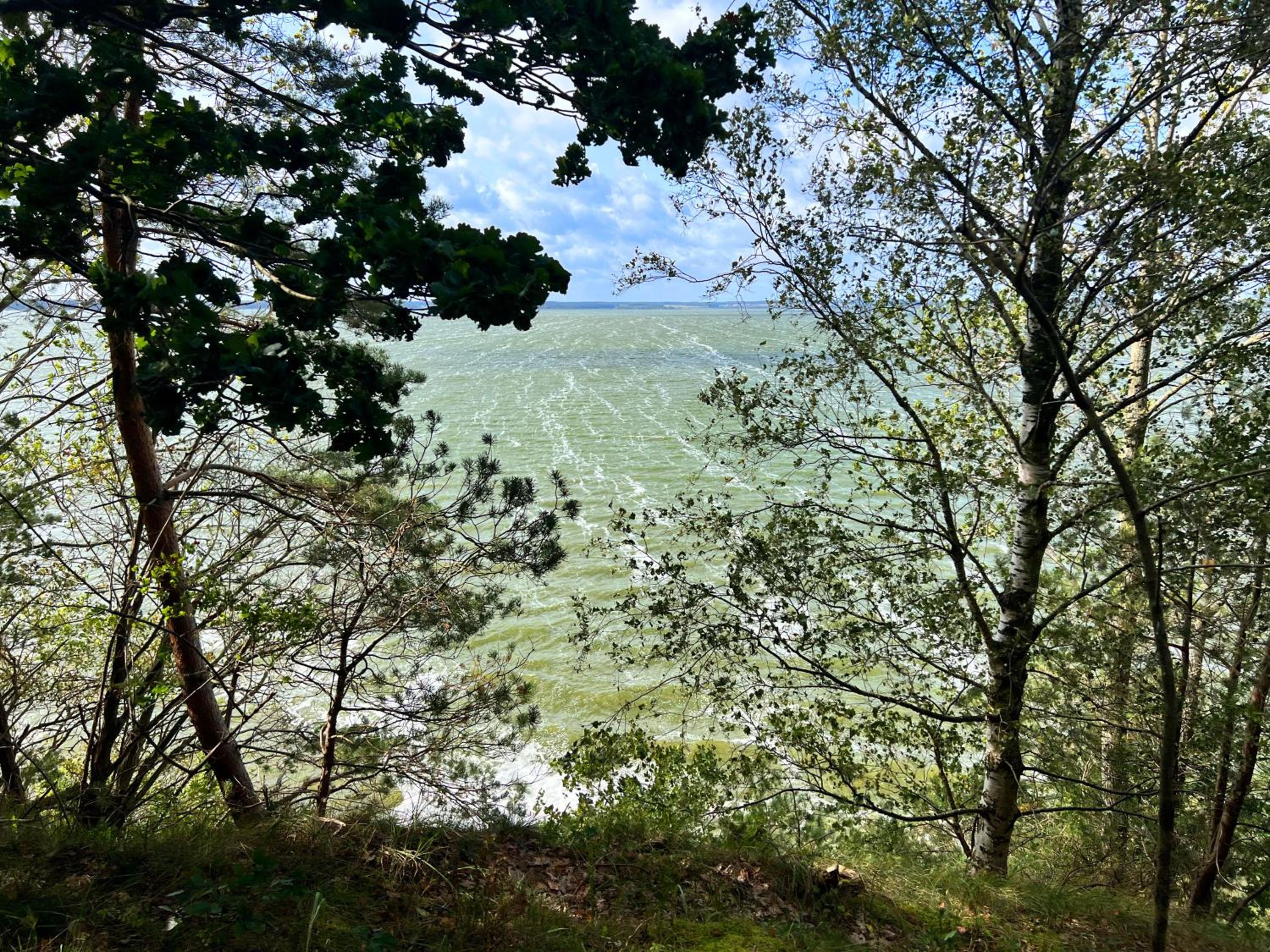 Ferienhäuser Insel Usedom Waldhaus 2 mit Whirlpool - Direkt am Achterwasser
